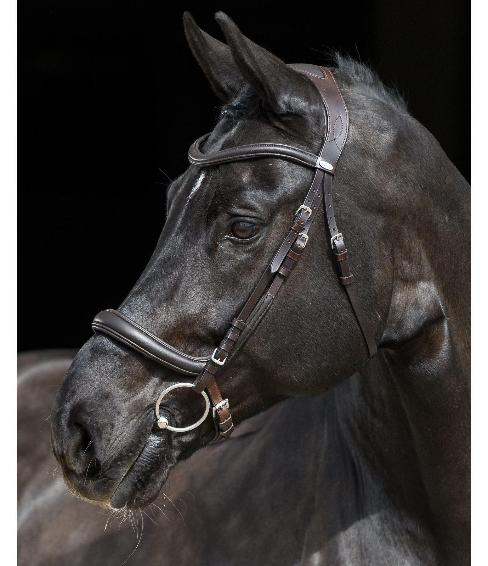 Felix Buhler Bridle Gently Anatomical Innovation