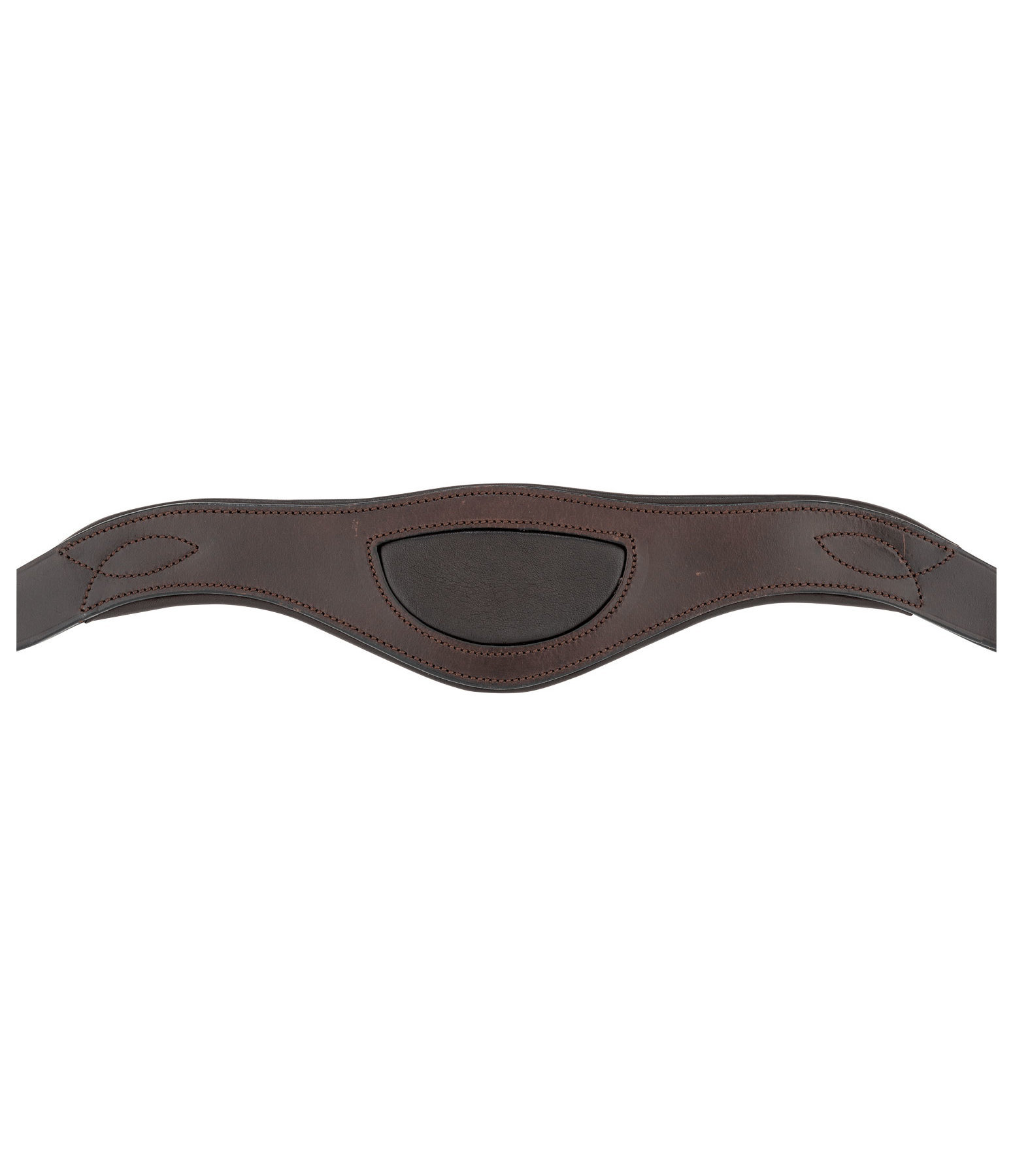 Bridle Gently Anatomical Innovation