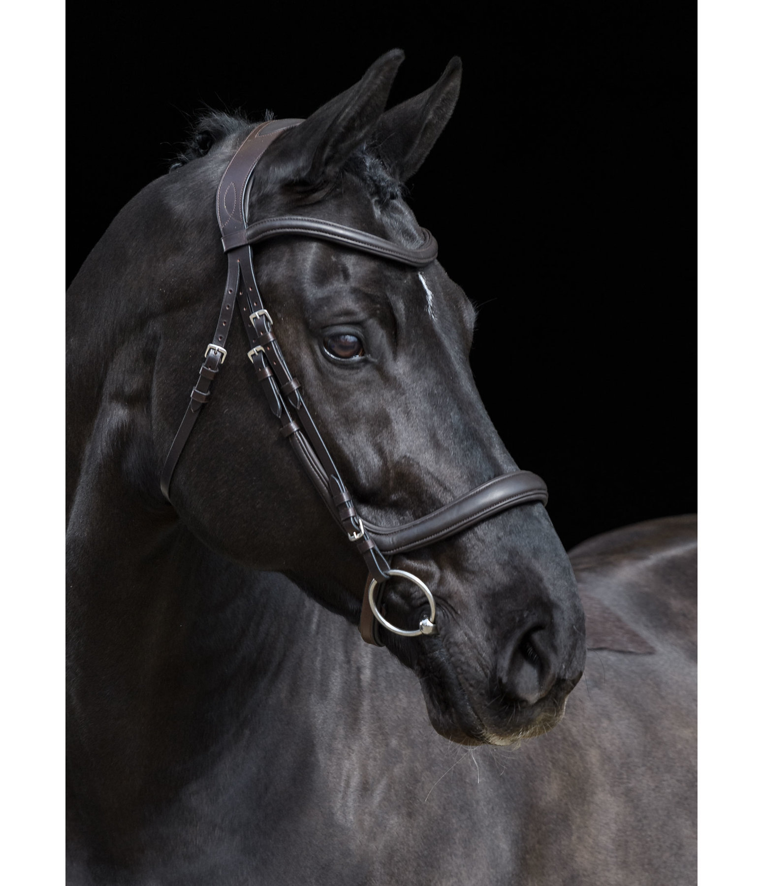 Felix Buhler Bridle Gently Anatomical Innovation