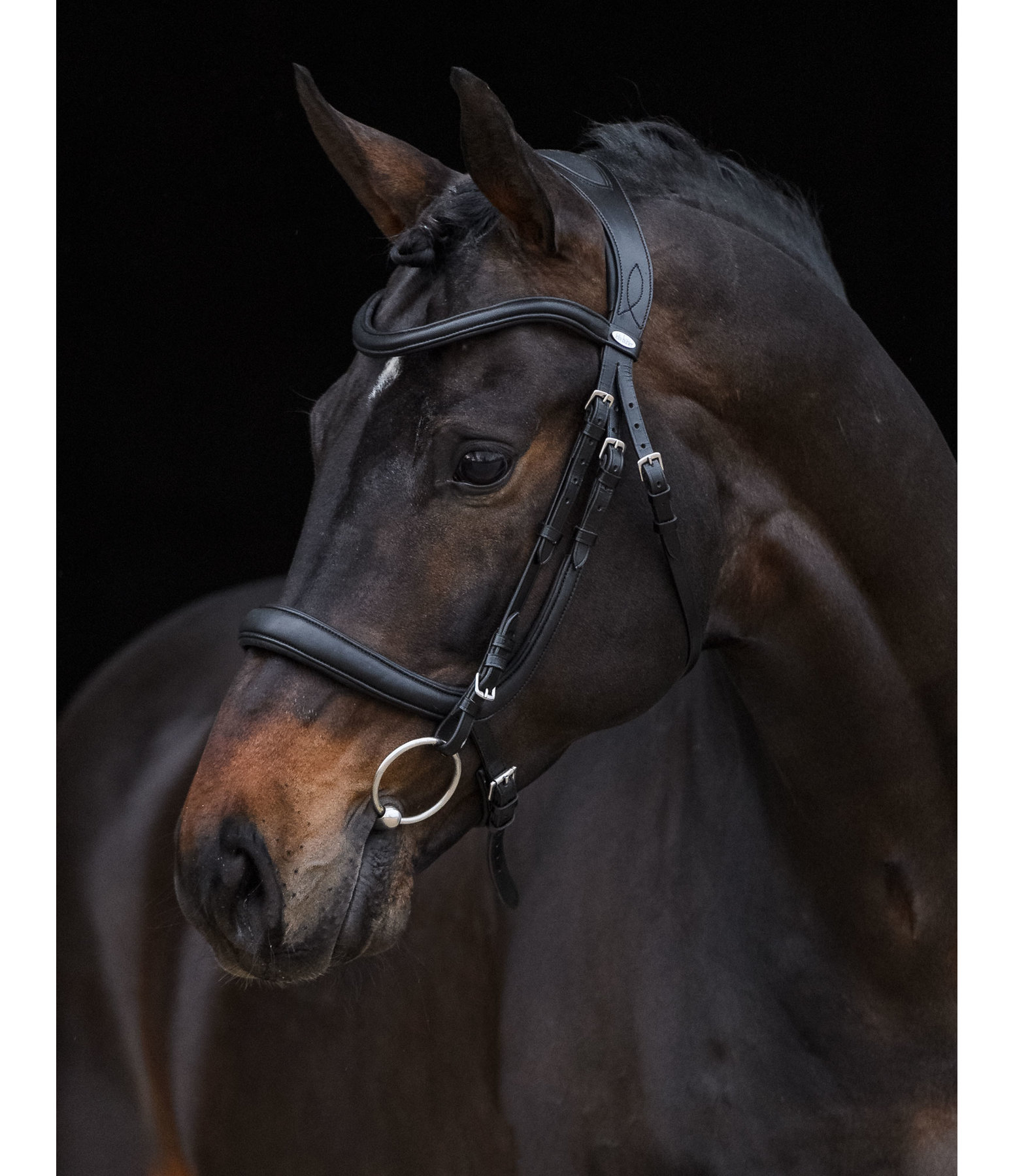 Bridle Gently Anatomical Innovation