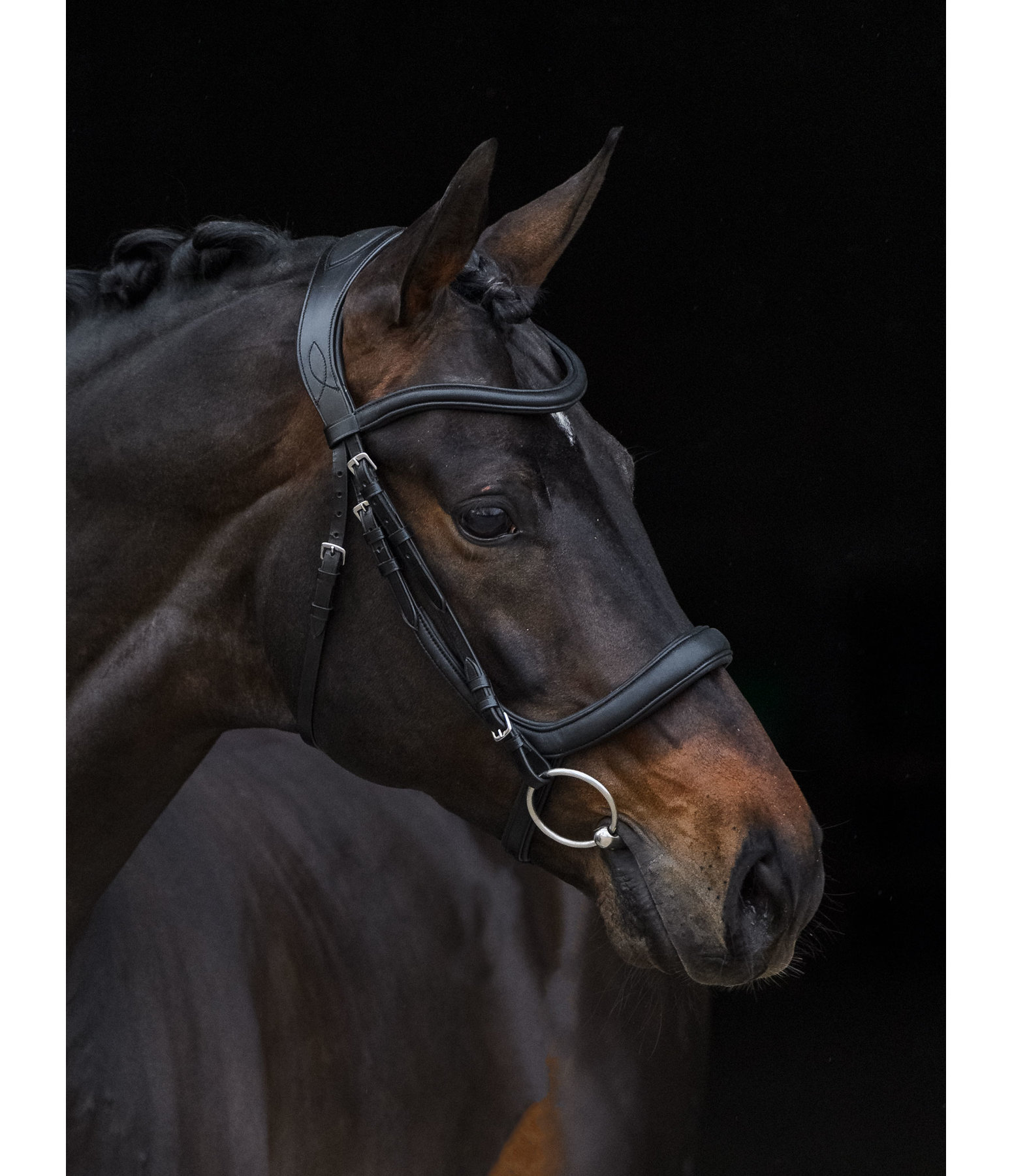 Felix Buhler Bridle Gently Anatomical Innovation