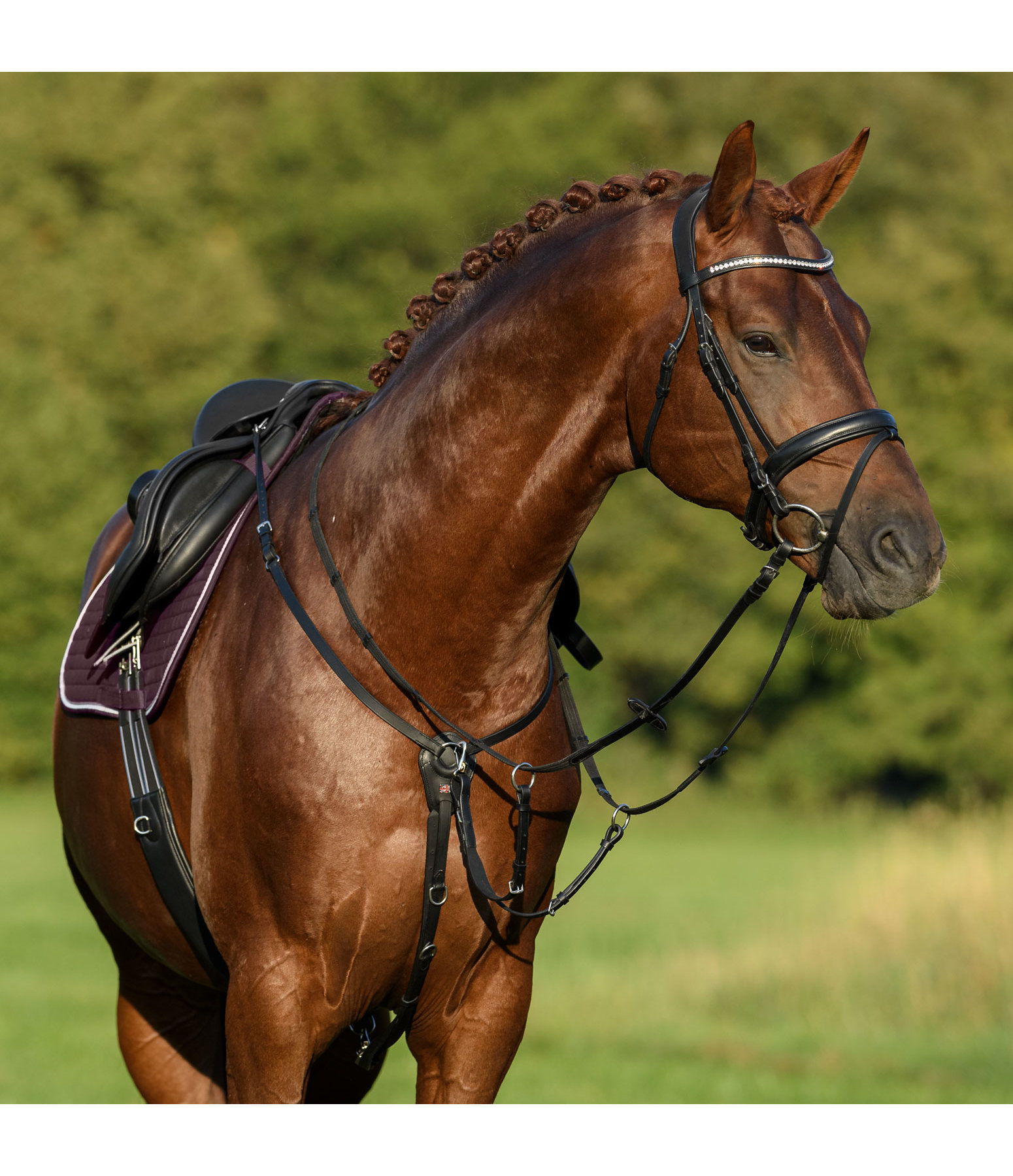 Oiled Leather Breastplate Basic