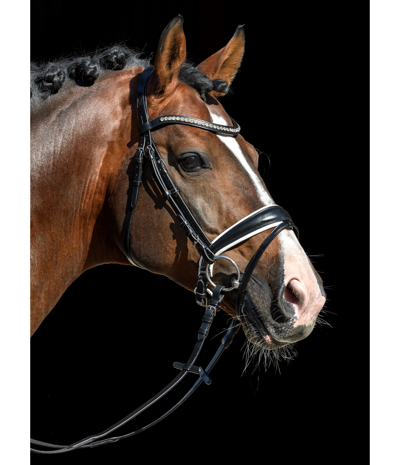 Crank Flash Bridle Classic