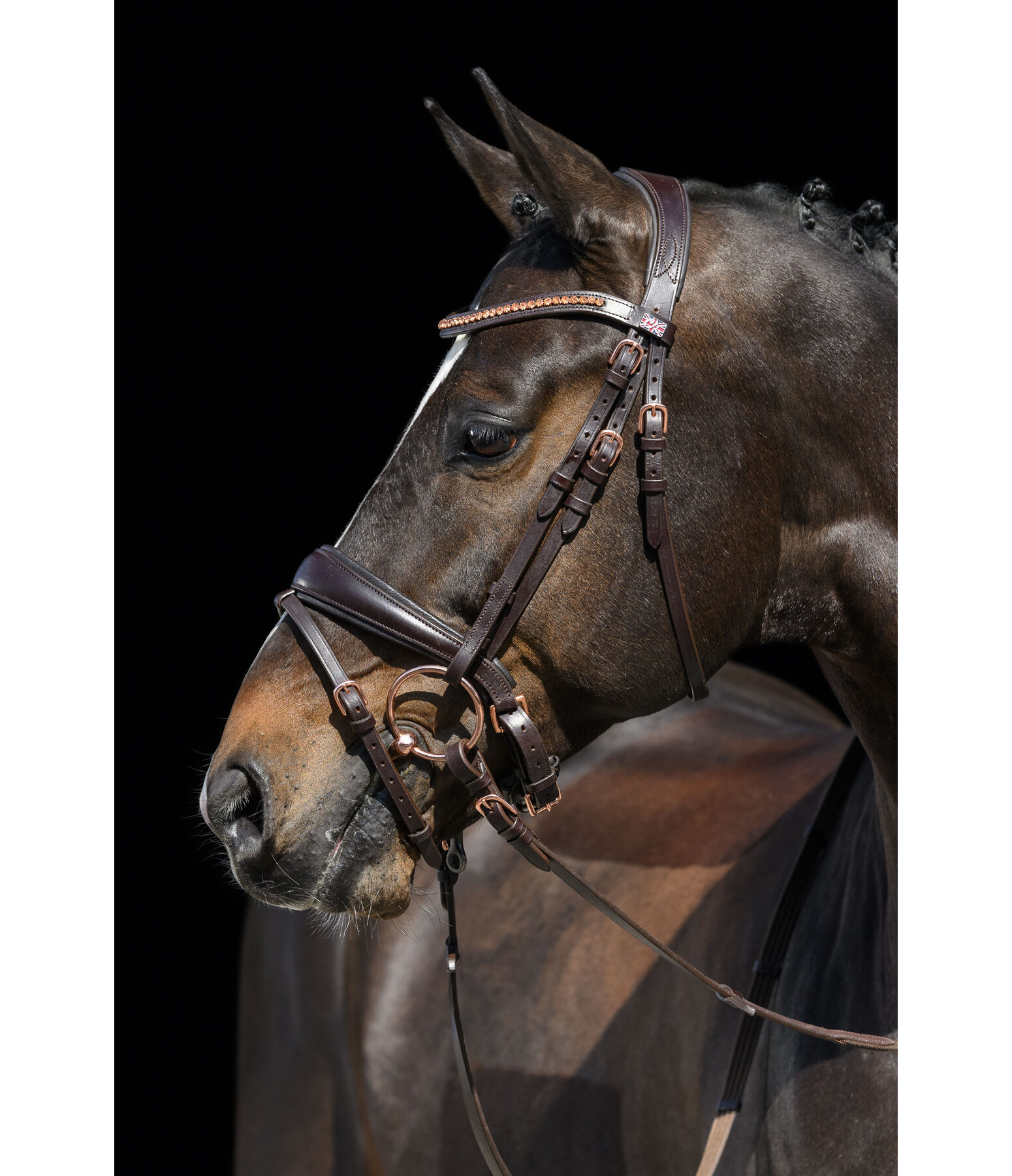 Crank Flash Bridle Rose