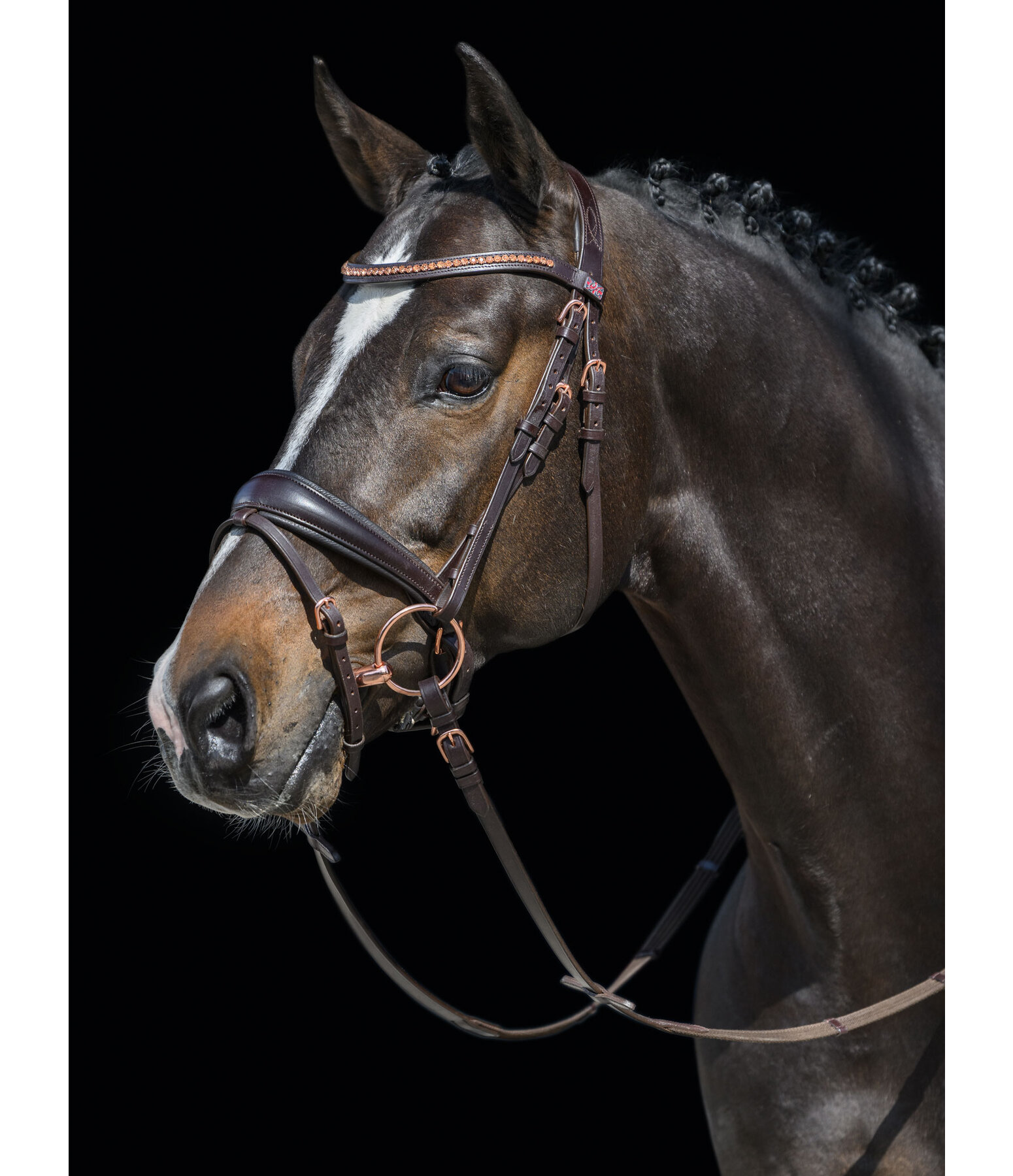 Crank Flash Bridle Rose