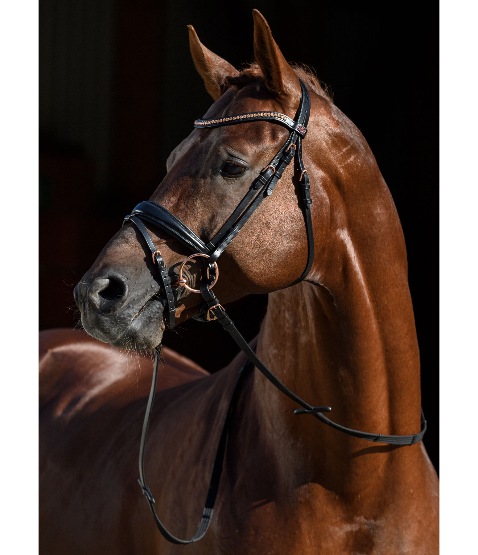 Crank Flash Bridle Rose