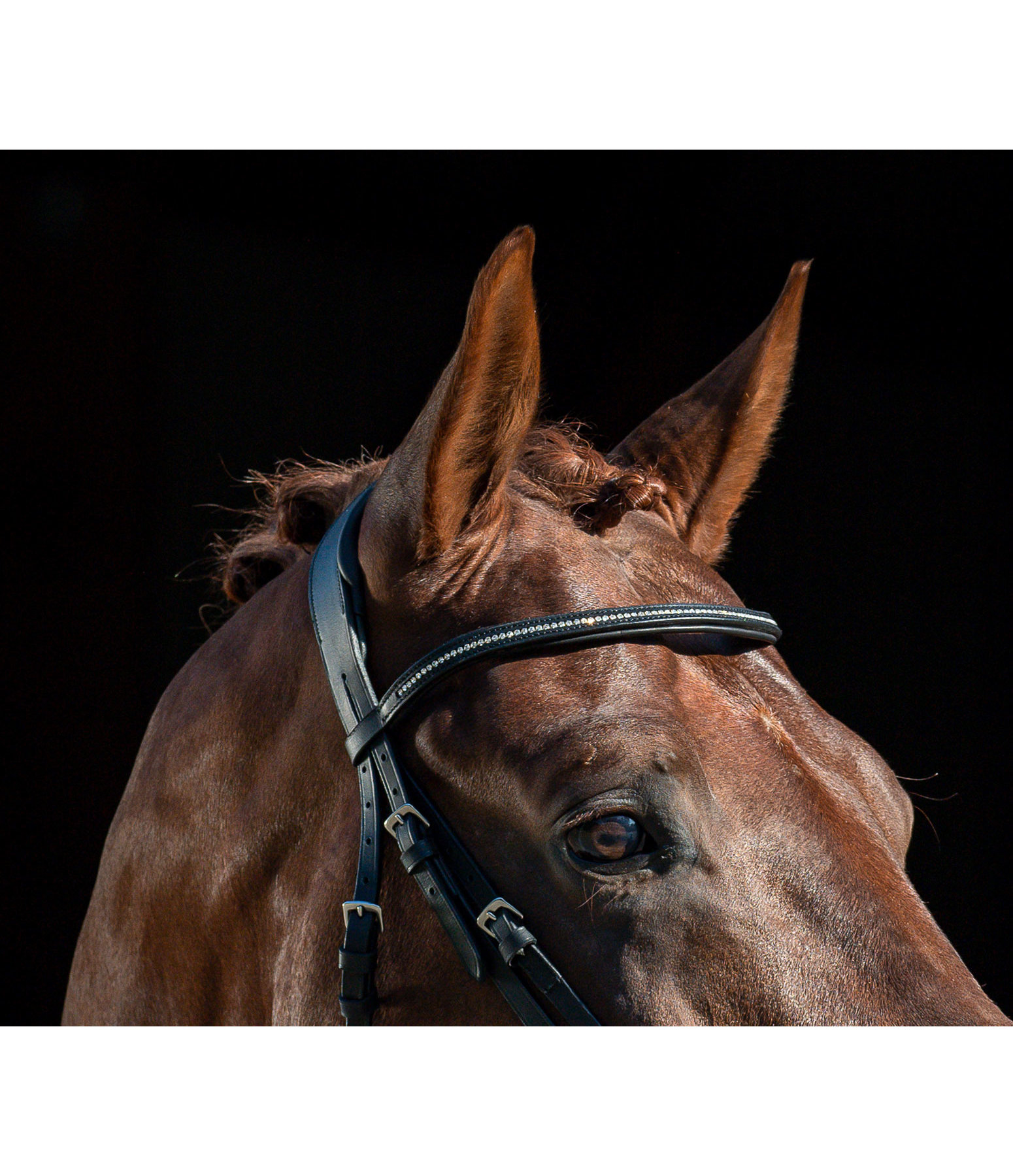 Mix & Match PRO Oiled Glitter Leather Browband