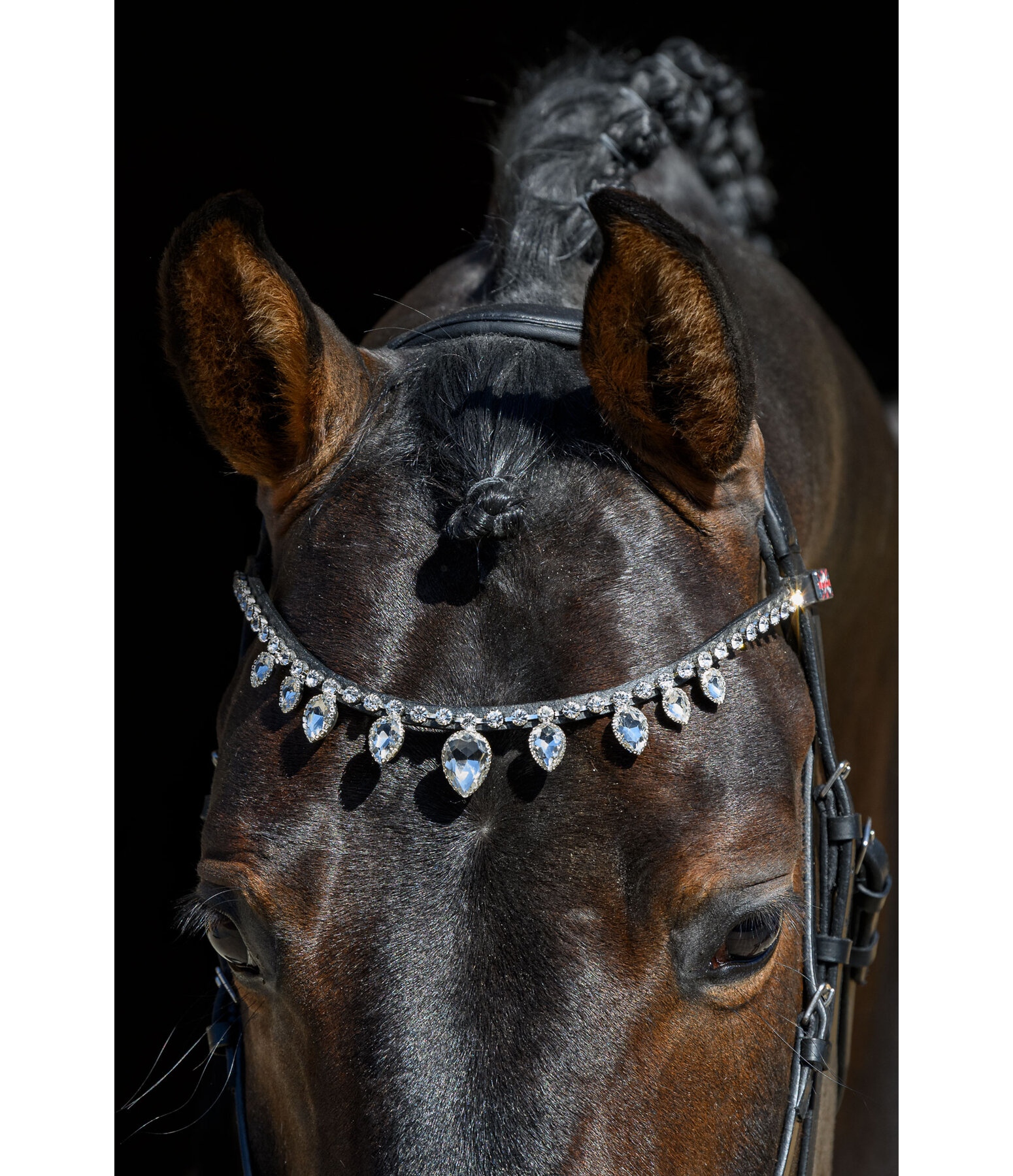 Mix & Match PRO Browband Starlight