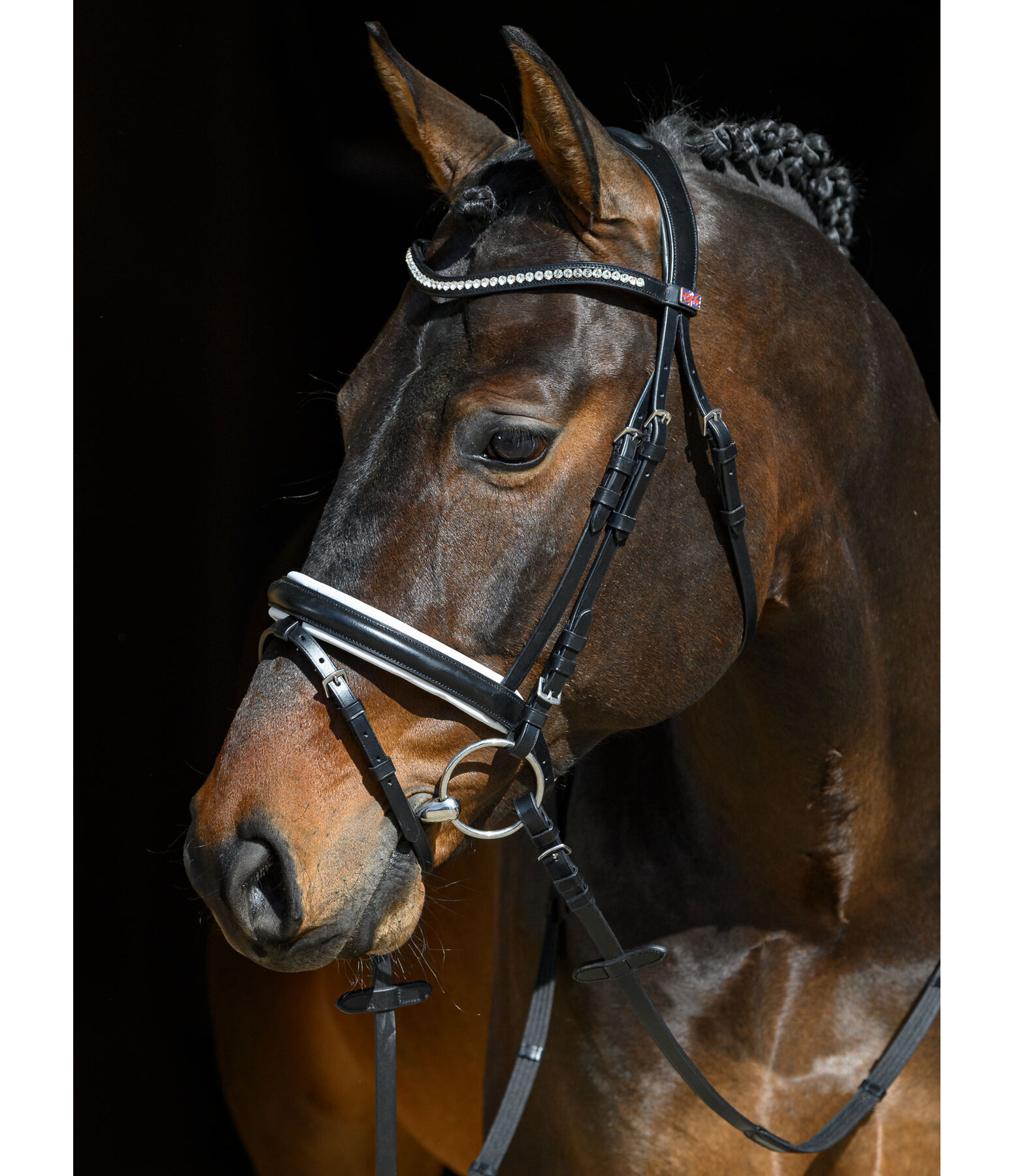 Flash Bridle Kreta