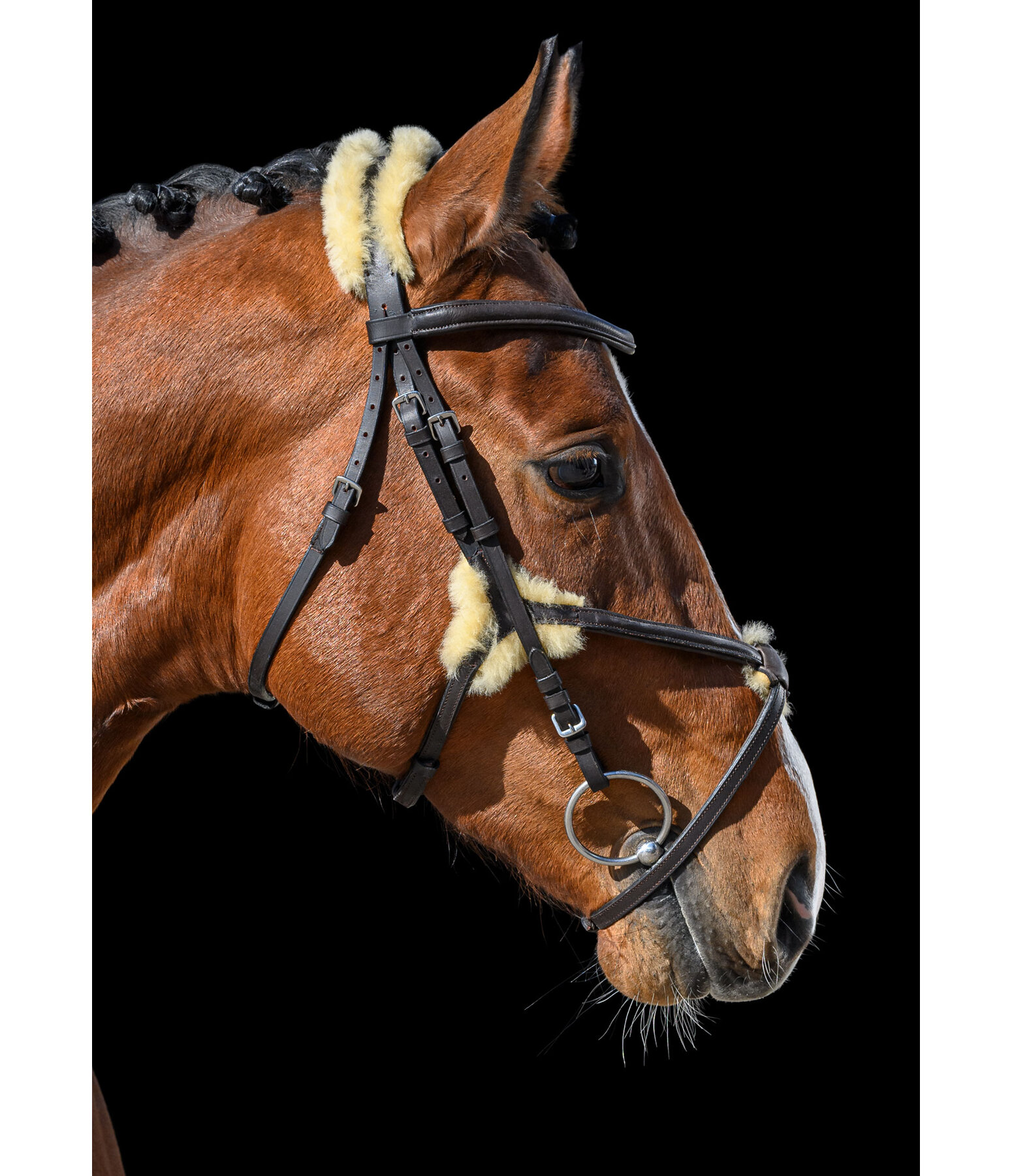 Mexican Bridle Soft Comfort