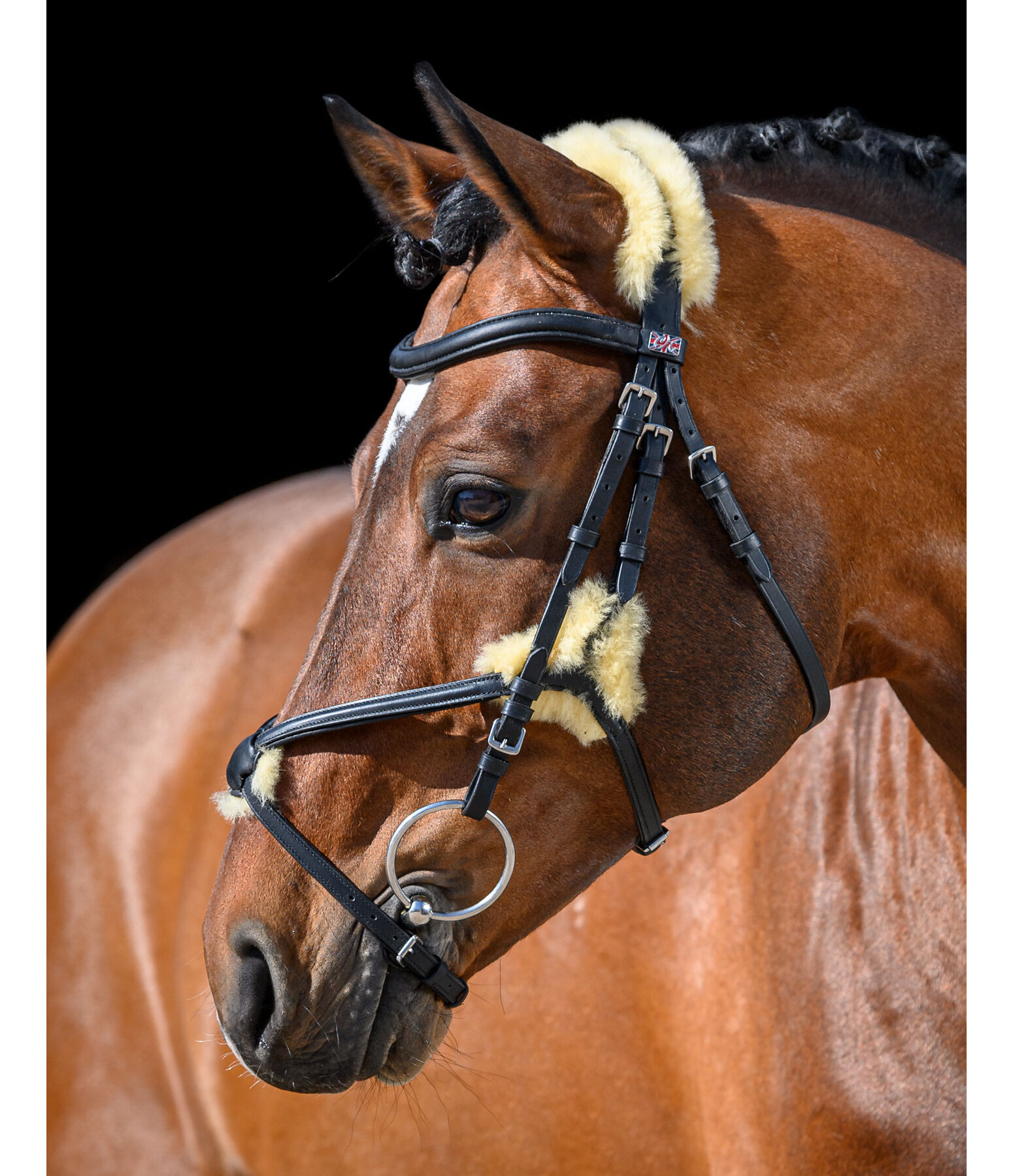 Mexican Bridle Soft Comfort