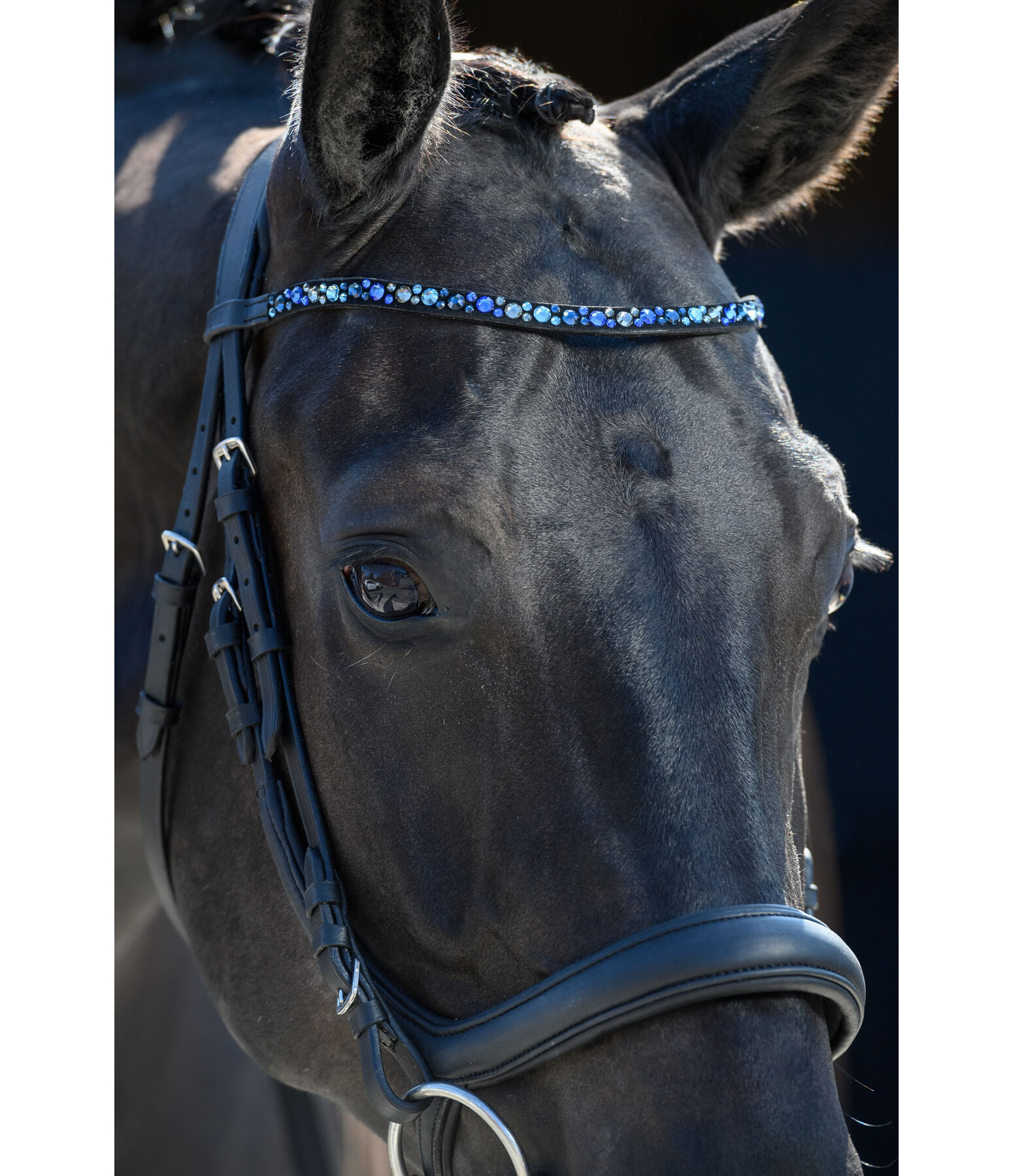 Mix & Match PRO Oiled Leather Browband Crystal