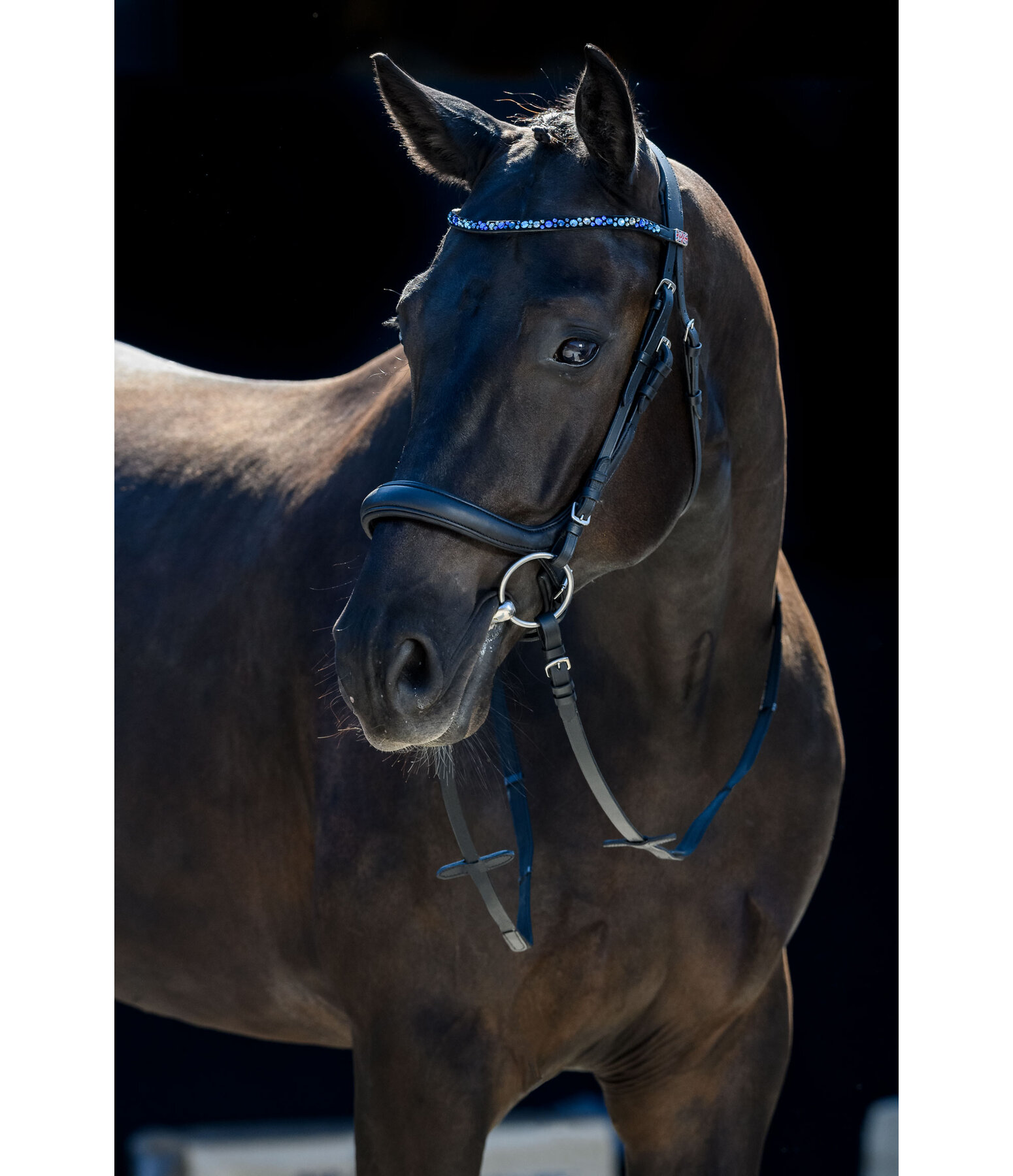 Mix & Match PRO Oiled Anatomical Cavesson Noseband