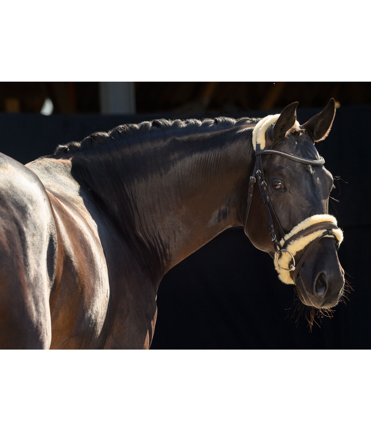 Soft Comfort II Flash Bridle with Sheepskin Padding