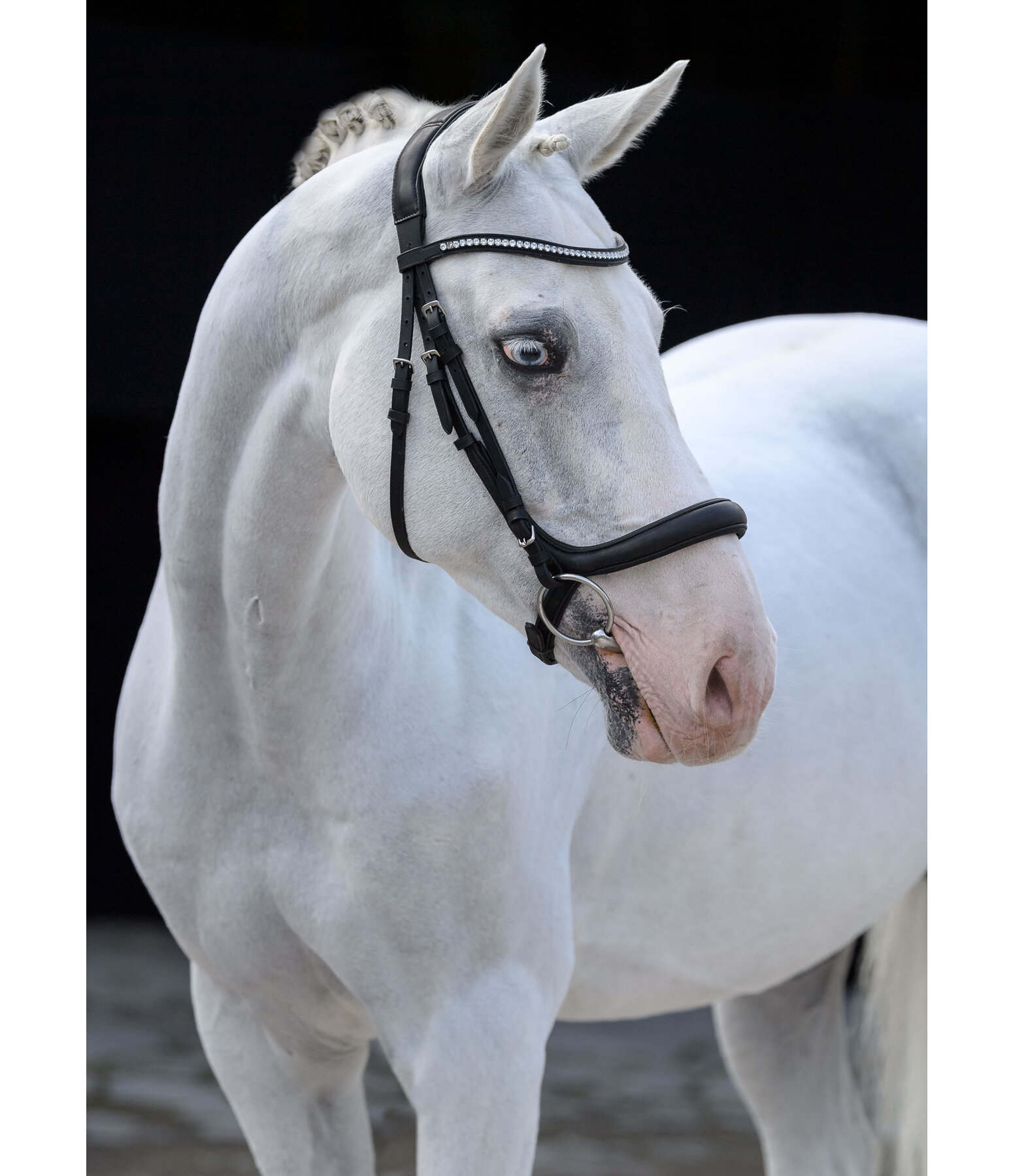 Cavesson Bridle Vienna Soft