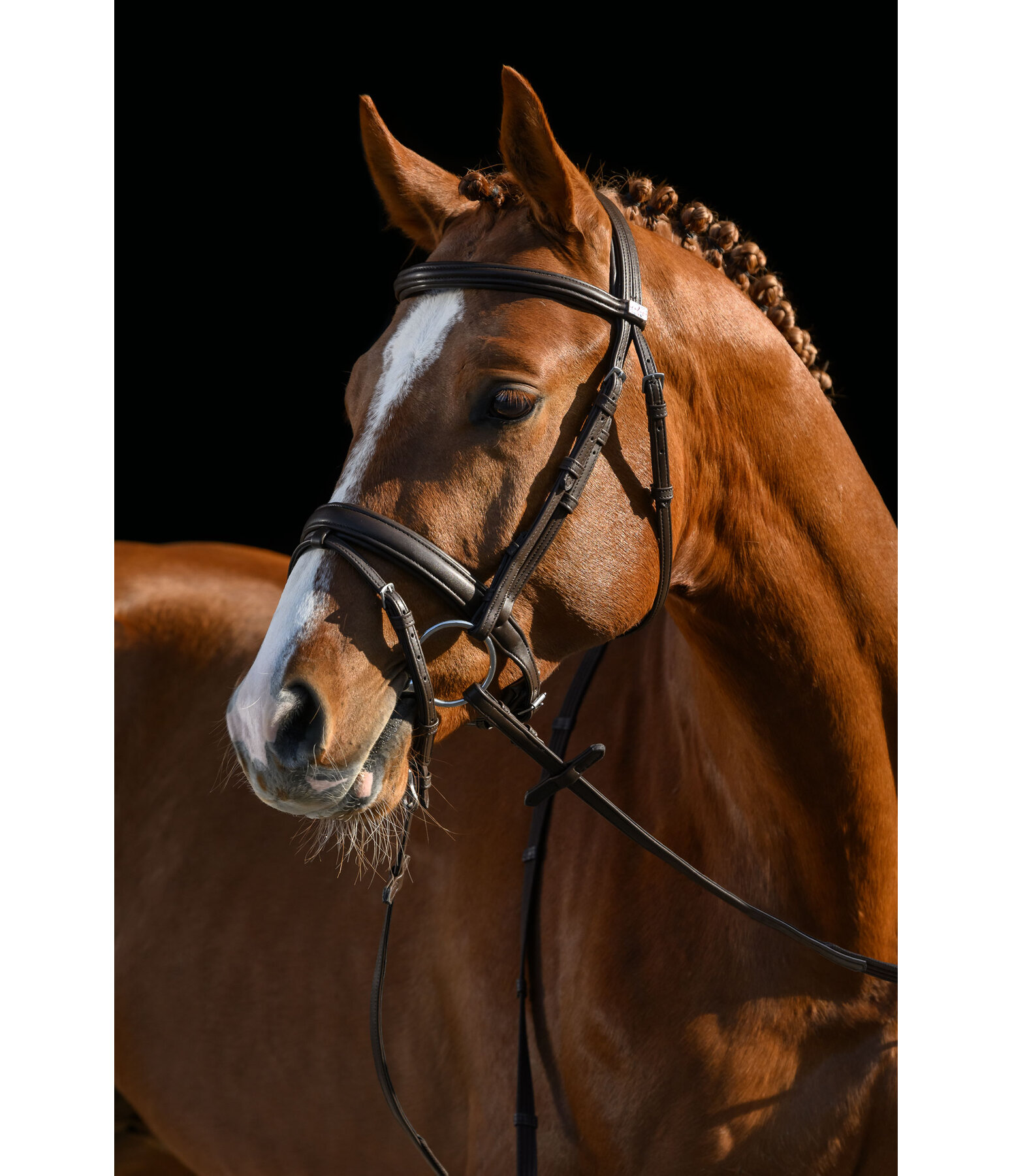 SYLKA Synthetic Bridle Animal Friendly