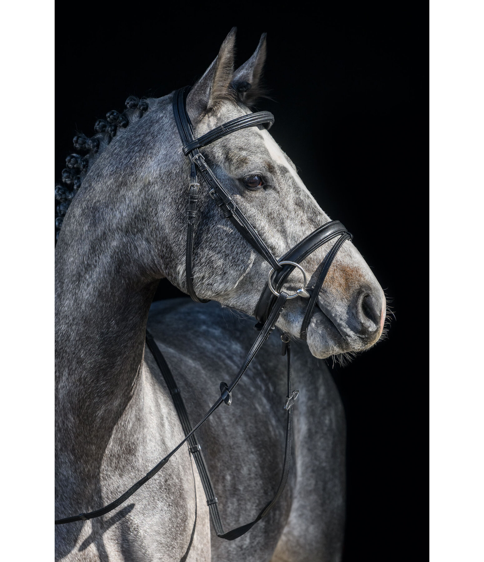 SYLKA Synthetic Bridle Animal Friendly