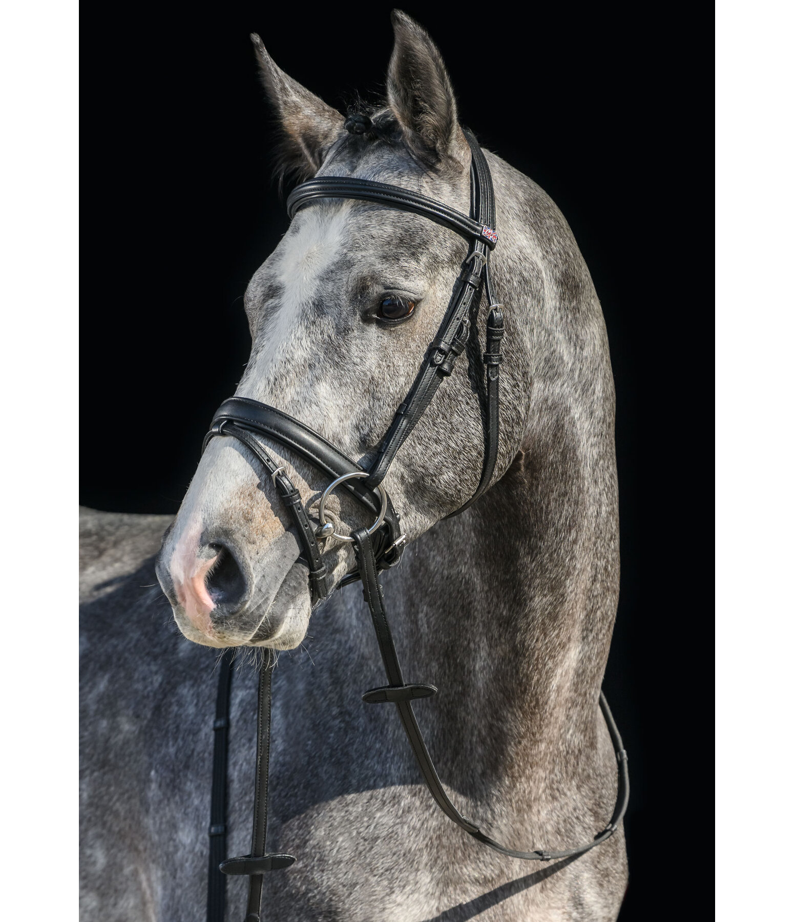 SYLKA Synthetic Bridle Animal Friendly