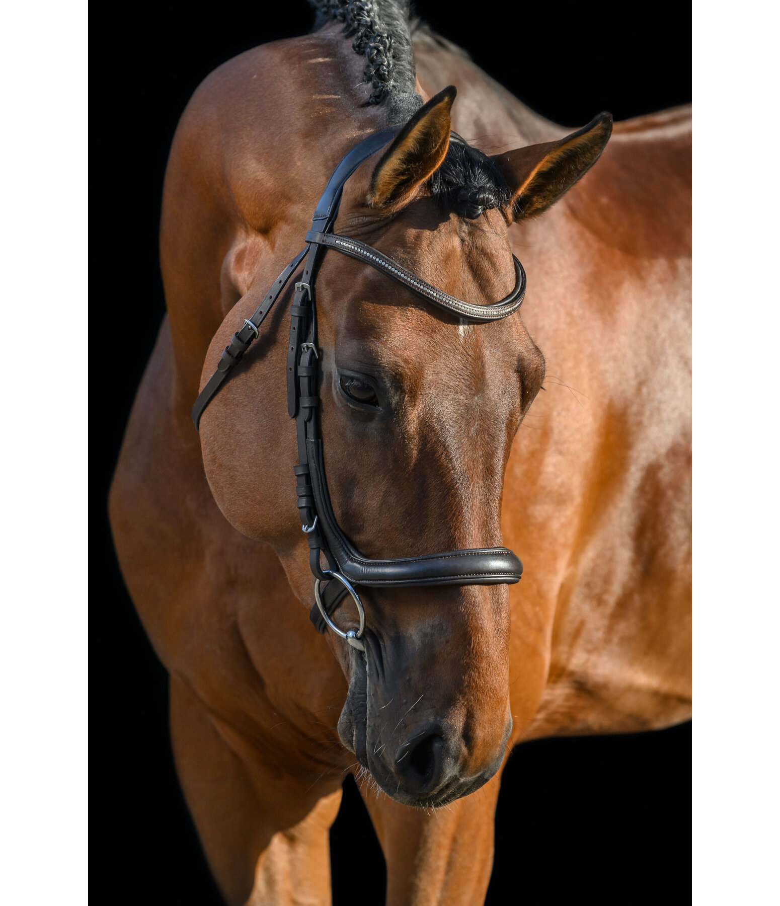 Bridle Milou Soft Comfort