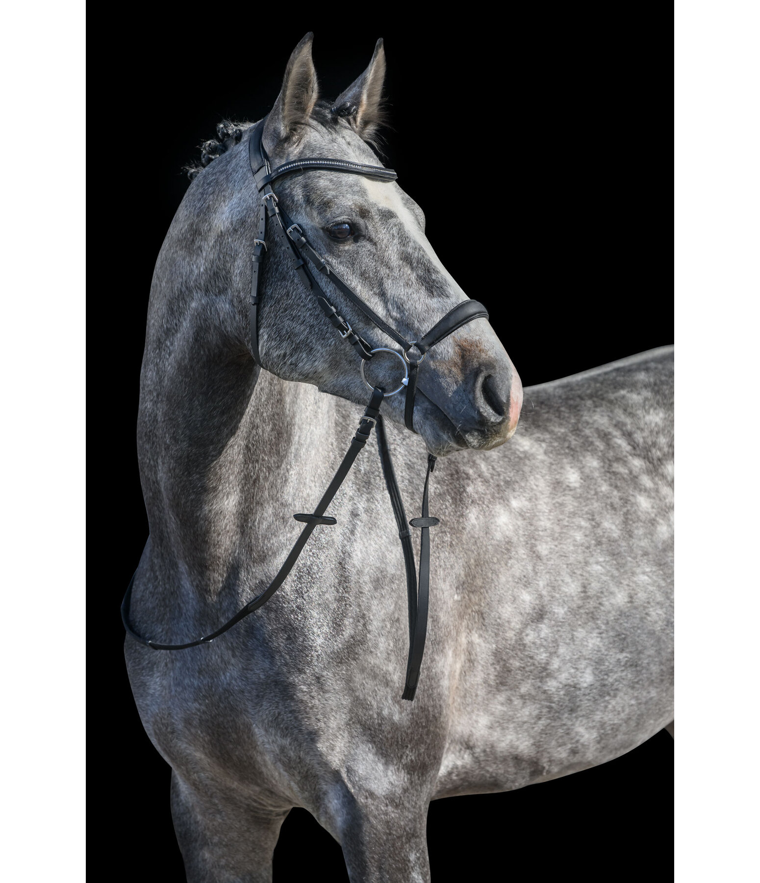 Drop Noseband Soft Comfort