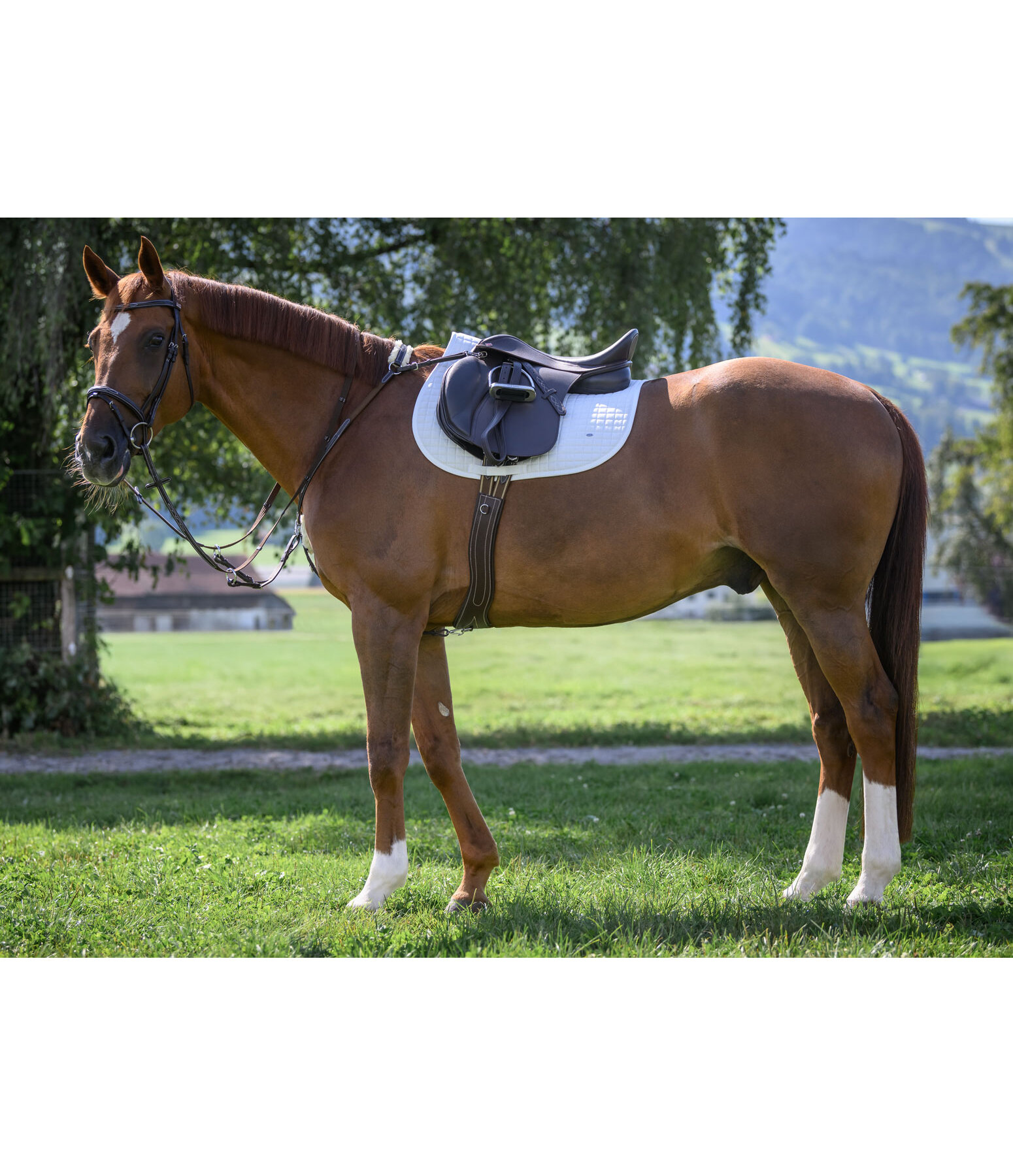 Flash Bridle Stitch