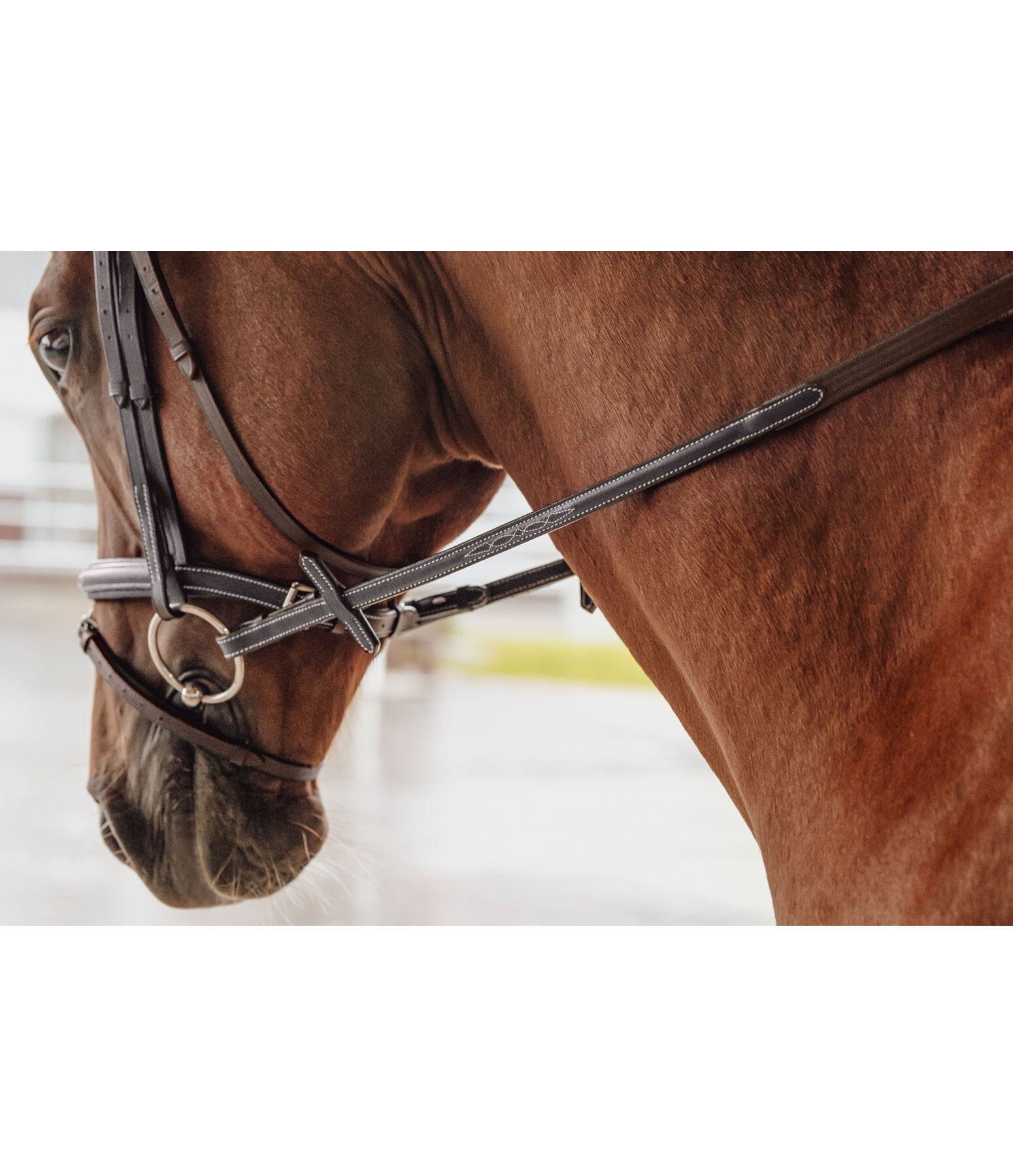 Oiled Leather Web Reins Stitch