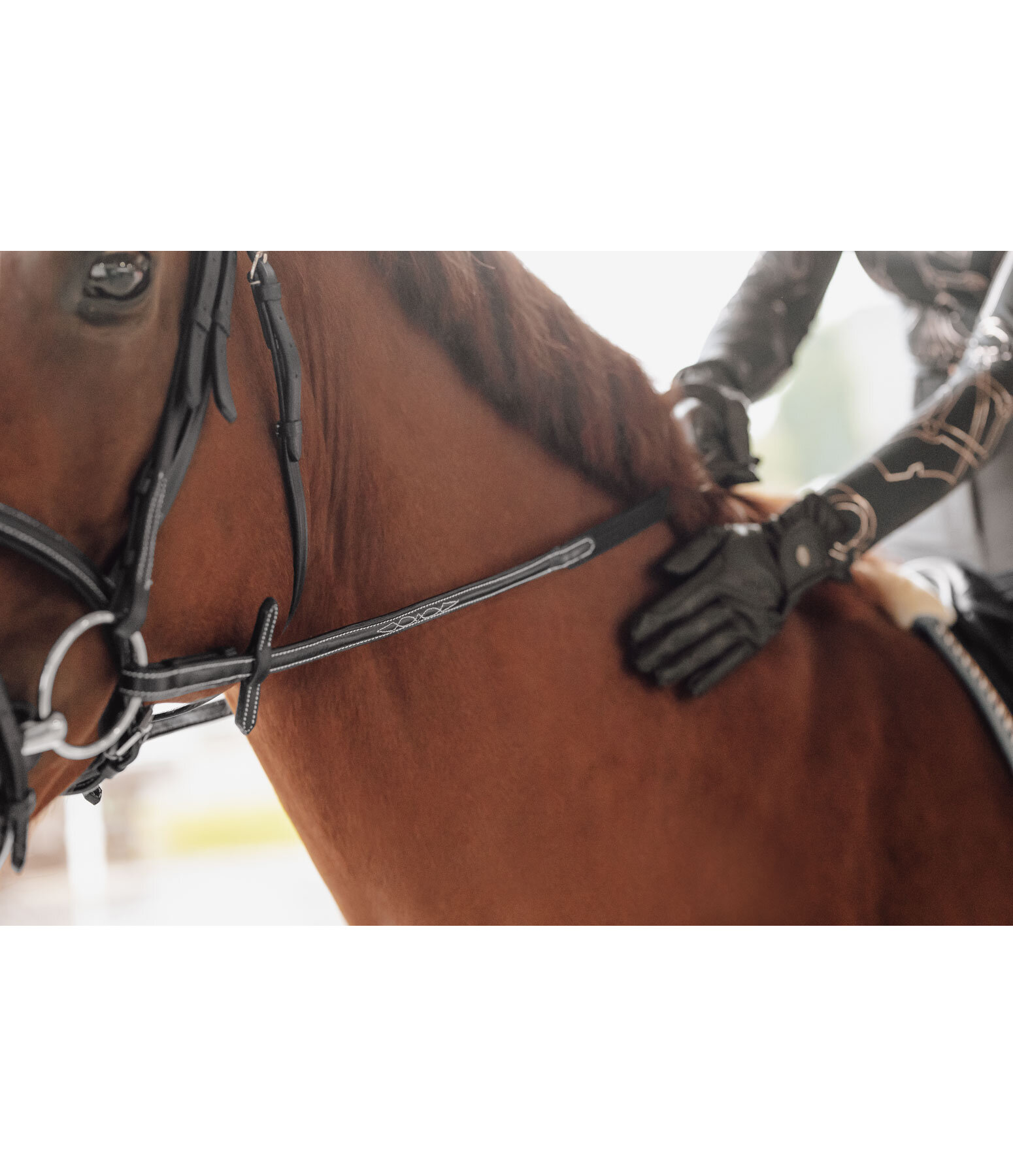 Oiled Leather Web Reins Stitch