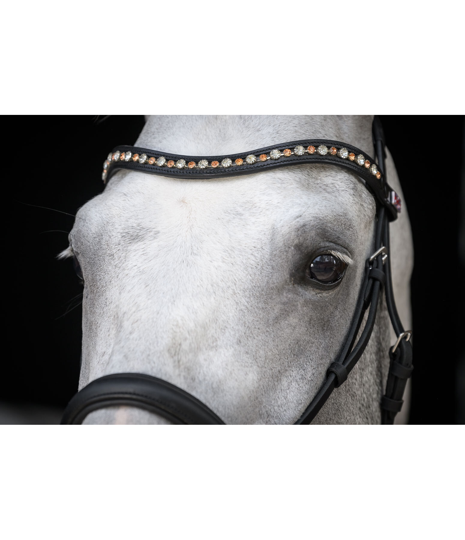 Mix & Match Browband Diamond Shine