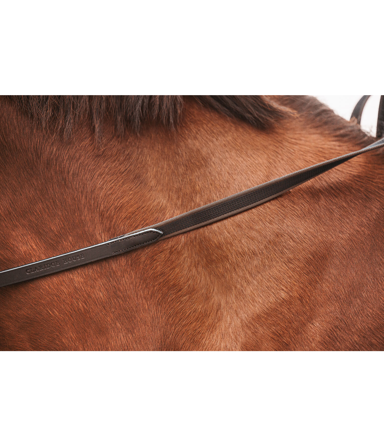 Anti-Slip Leather Reins