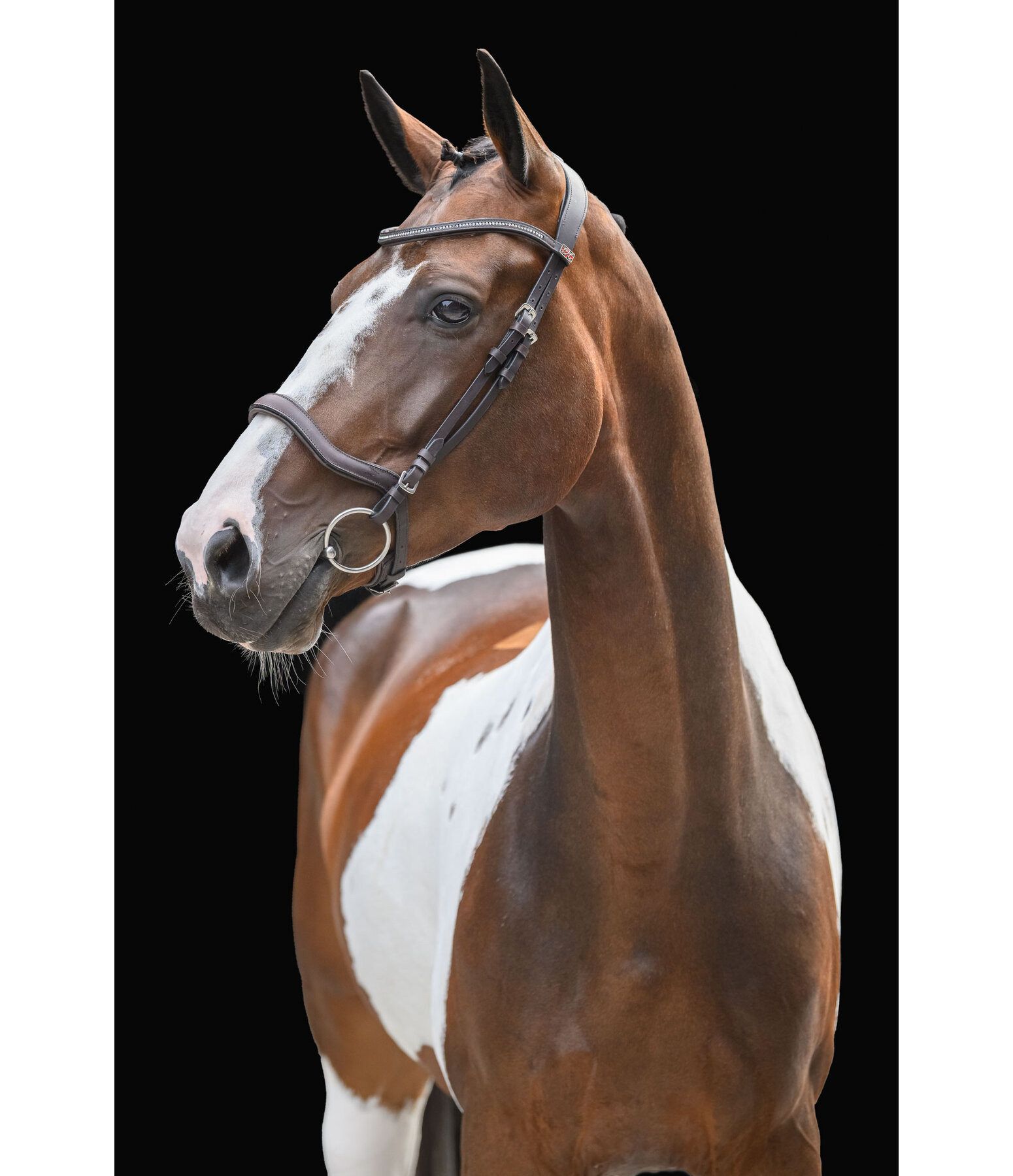Cavesson Bridle Comfort Space
