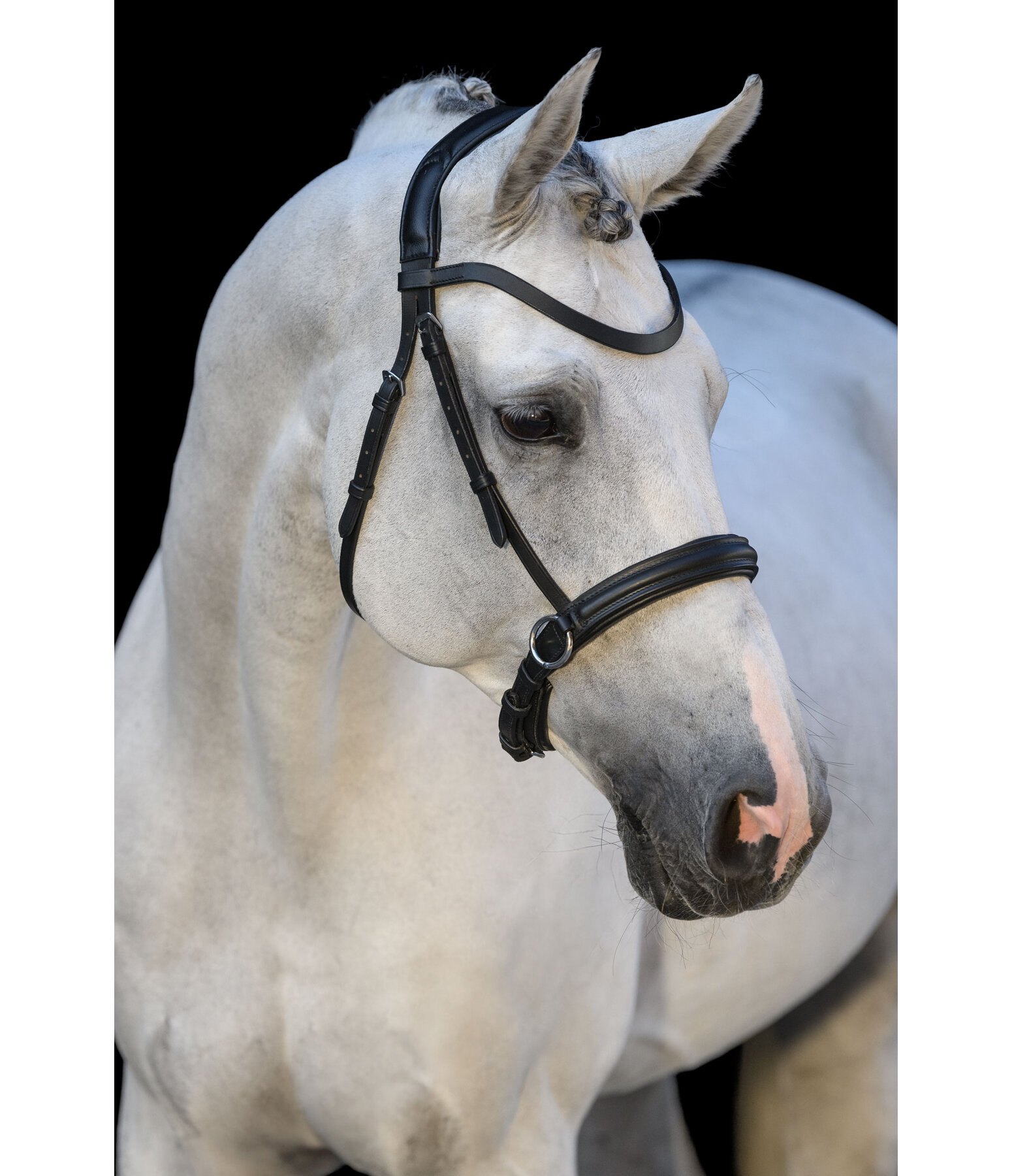 Bitless Bridle Comfort