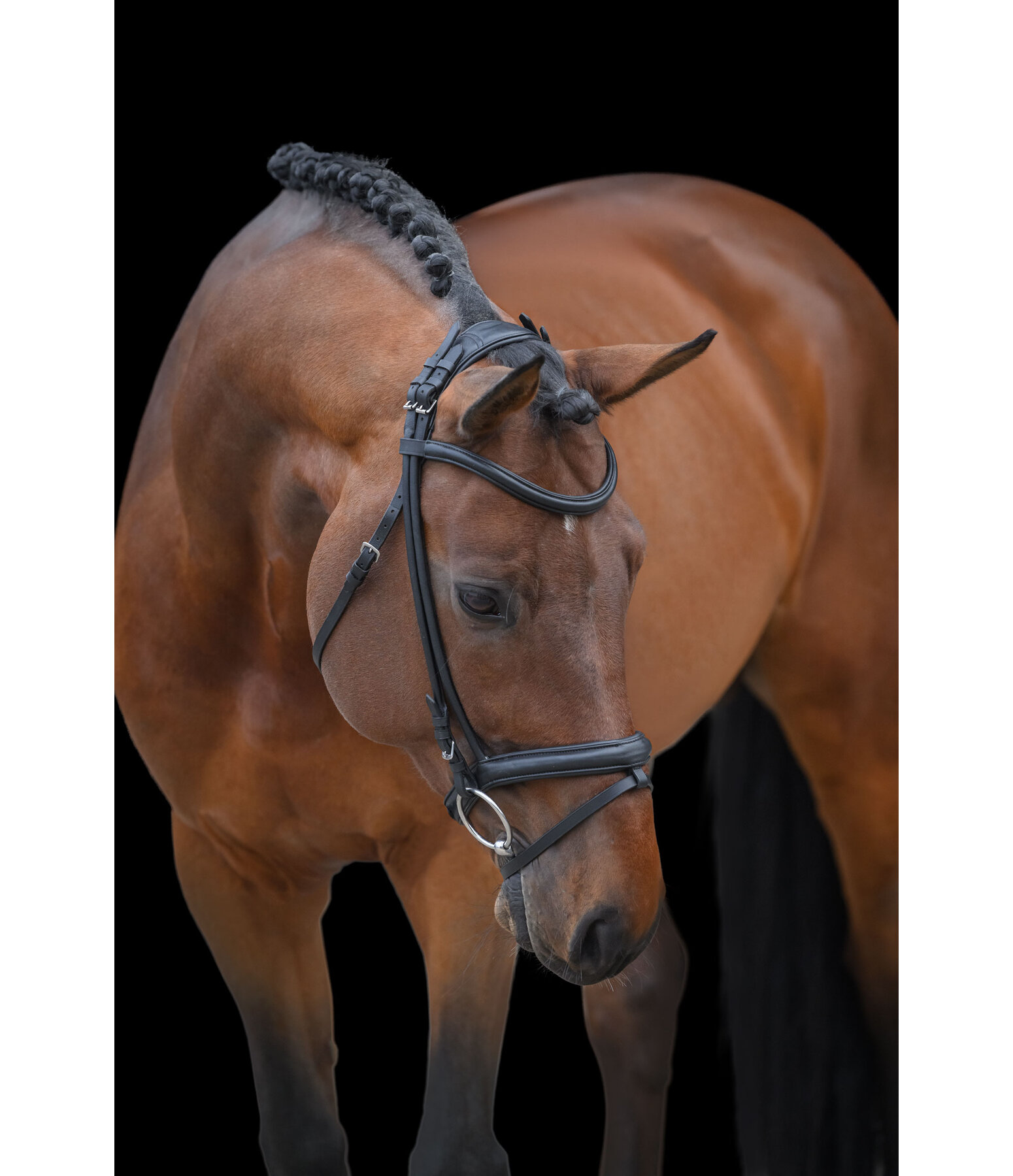 Bridle Round