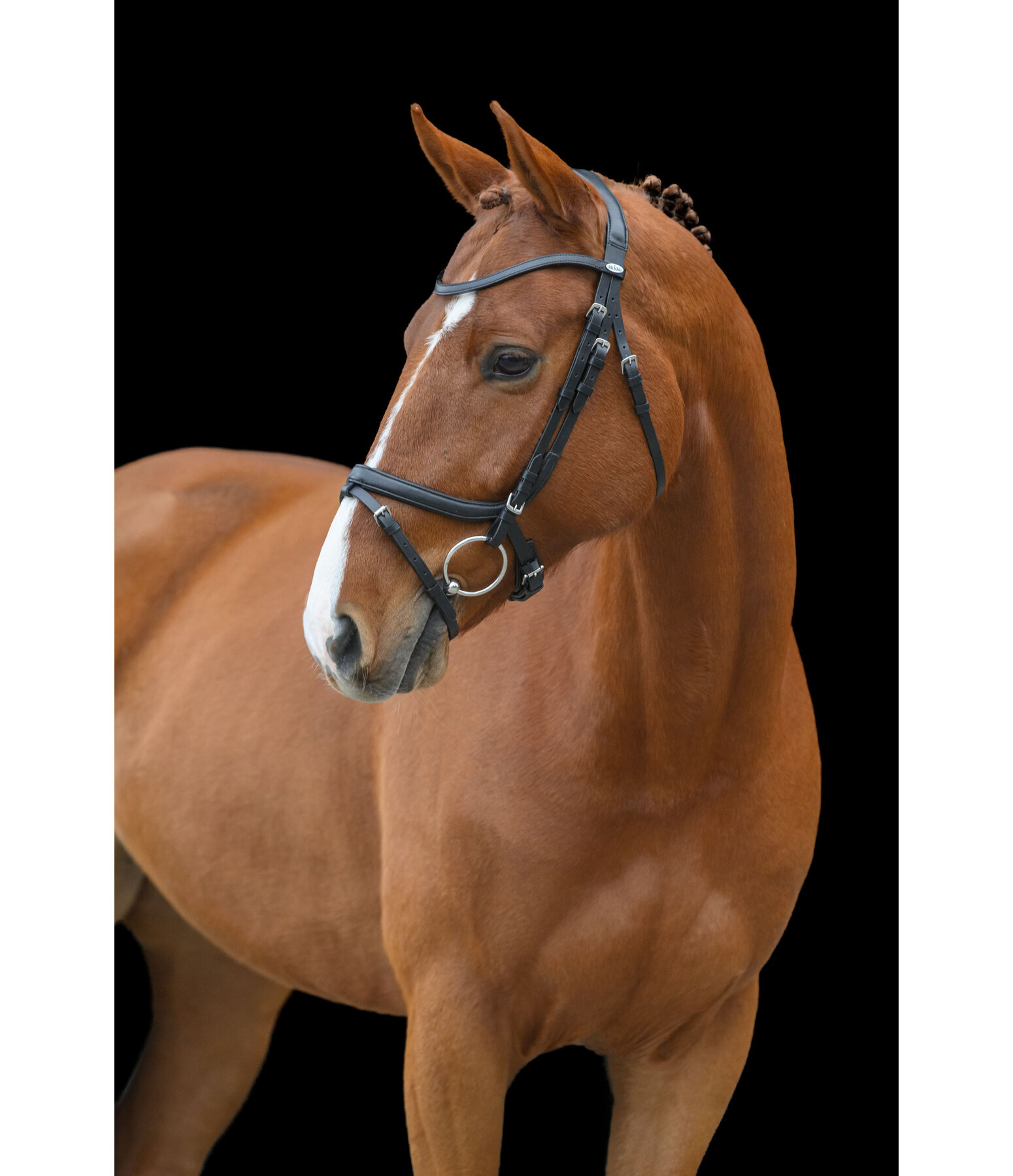 Flash Bridle Anatomical Classic