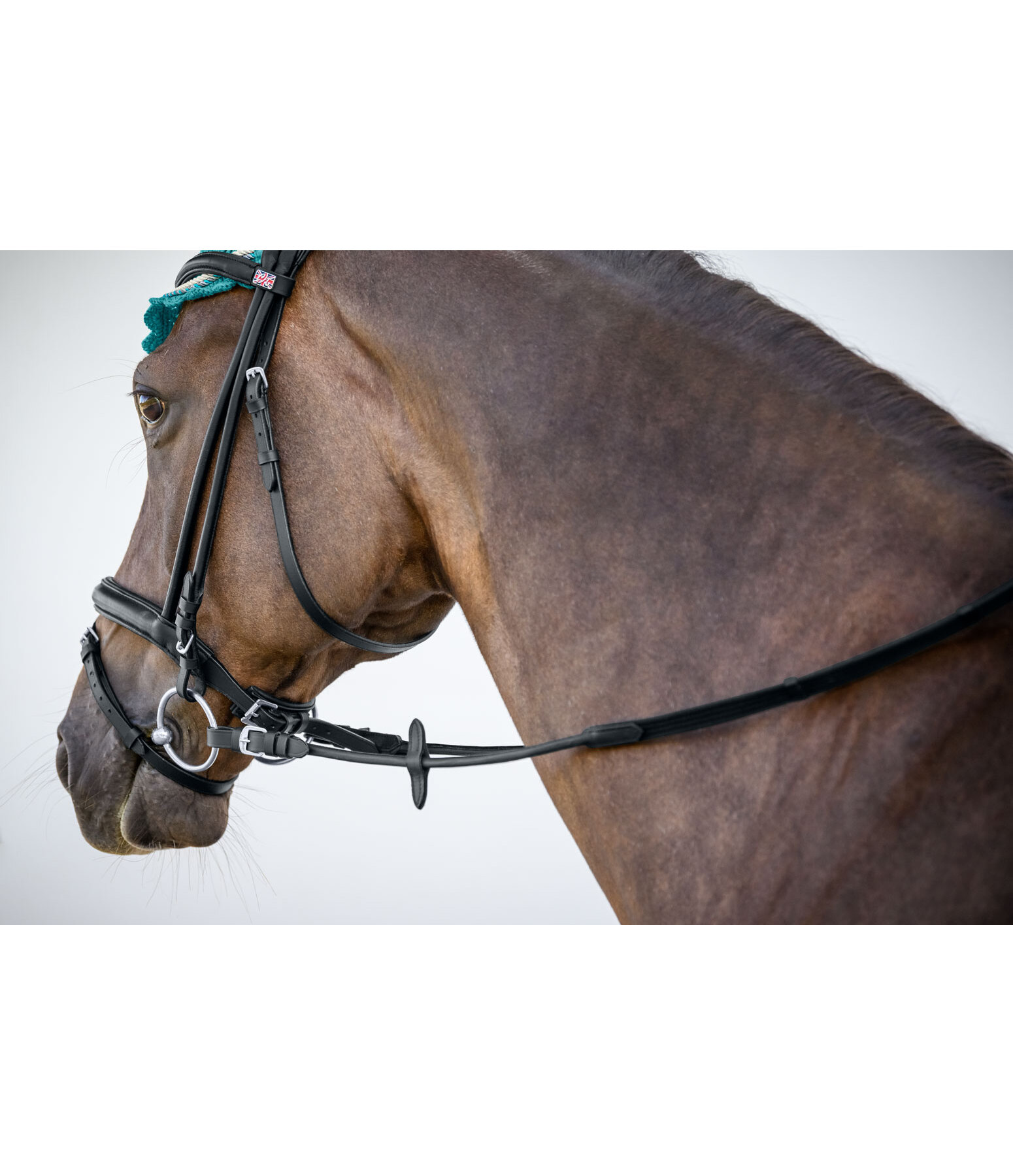 Oiled Leather Web Reins Round