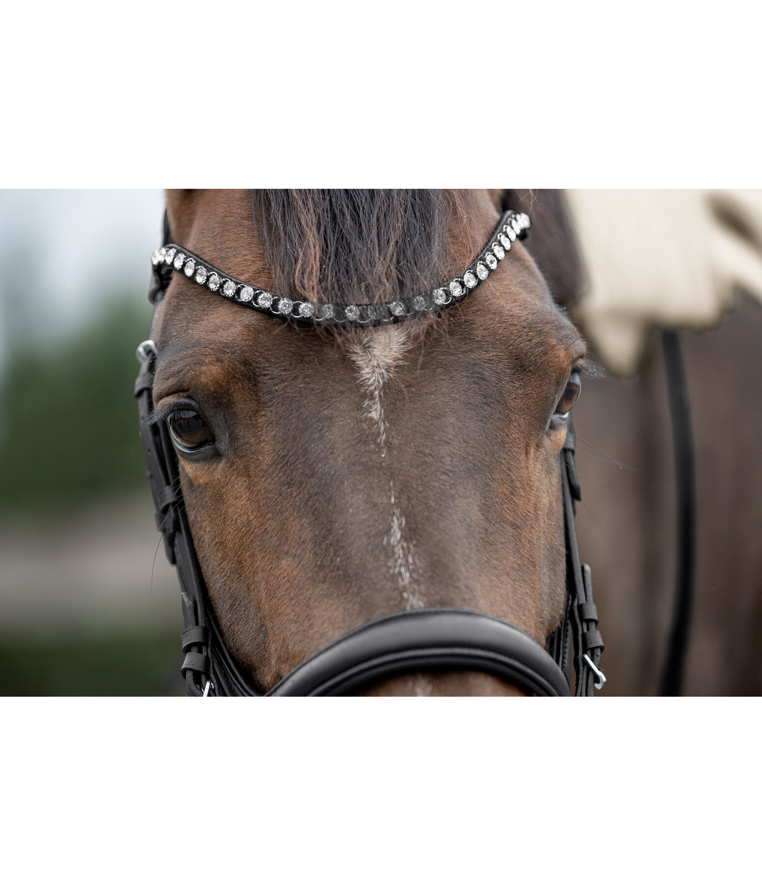 Browband Change Fast Diamond