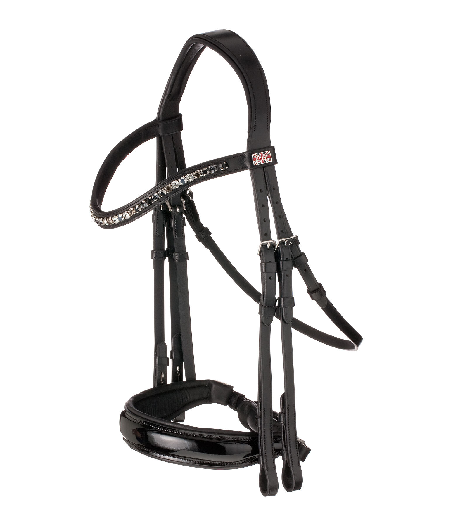 Double Bridle Dressage