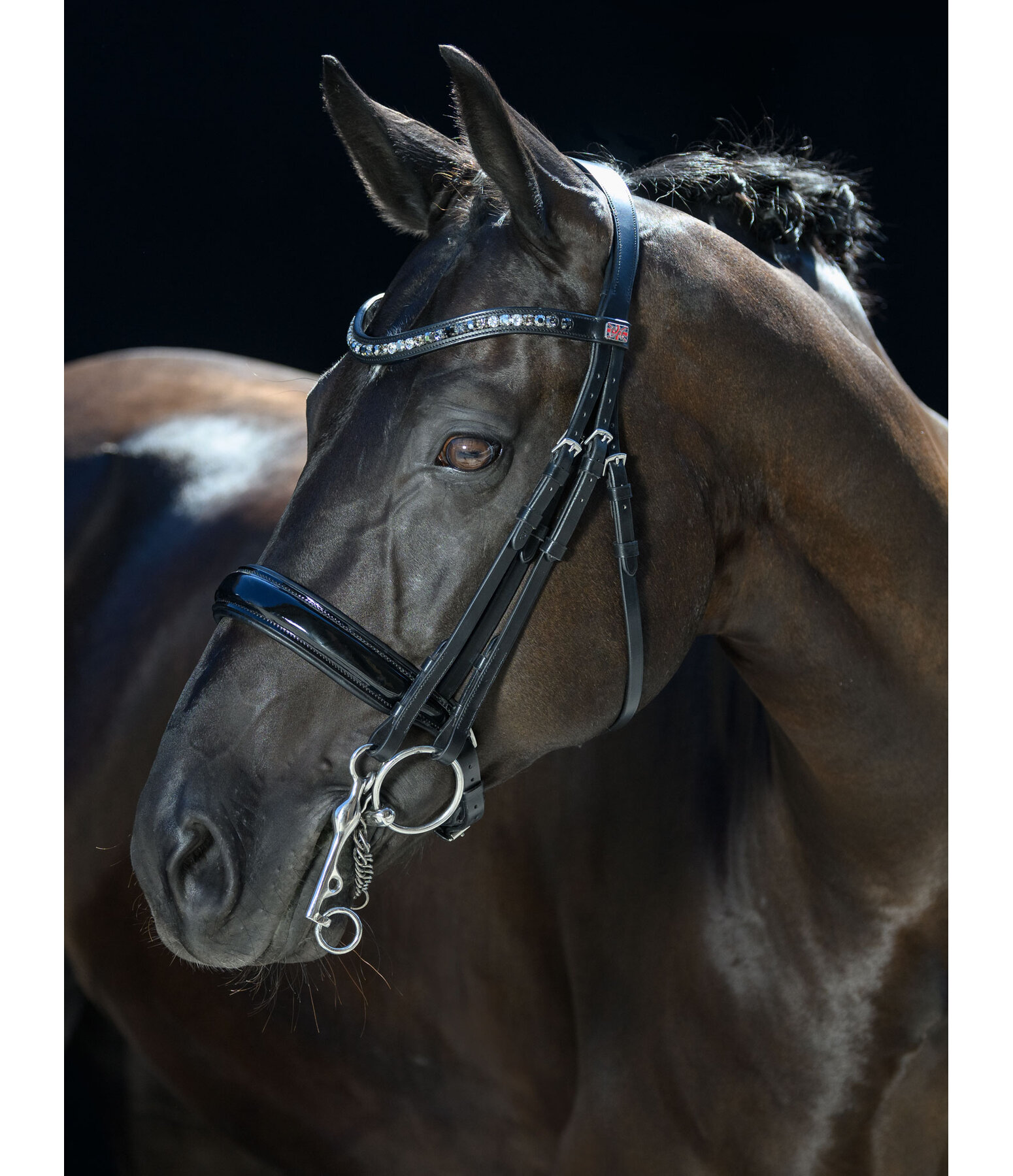 Double Bridle Dressage