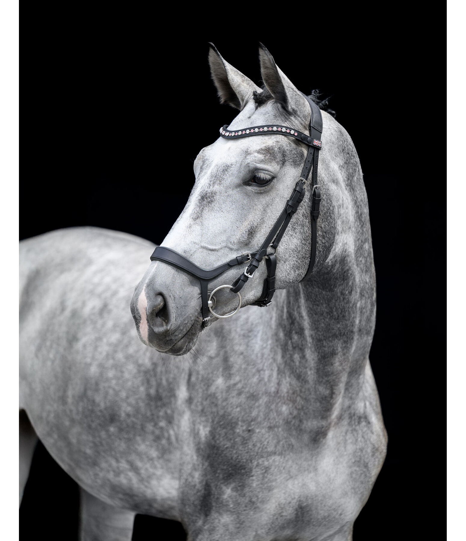 Mix & Match Oiled Leather Noseband Revolution