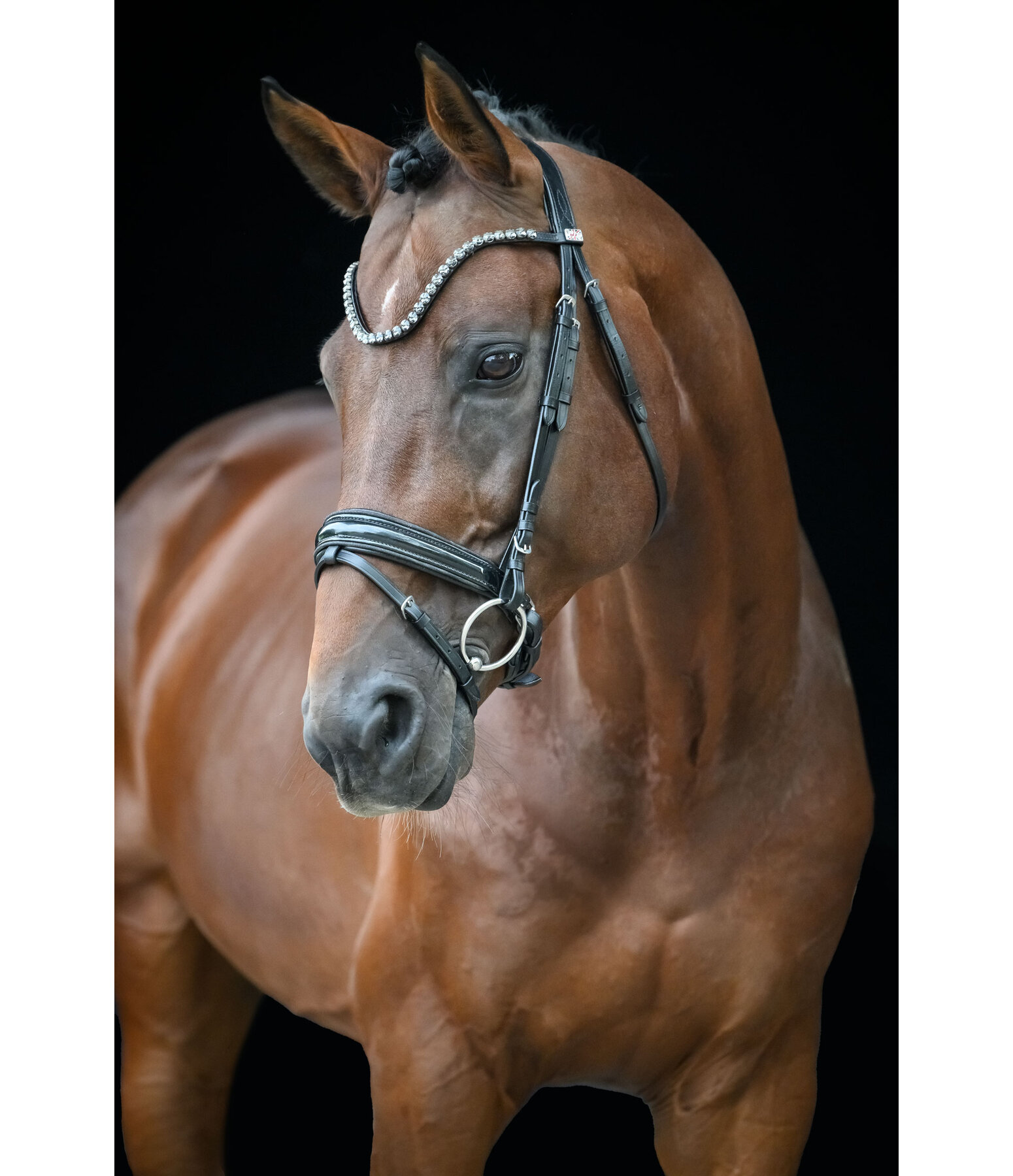 Flash Bridle Eloise