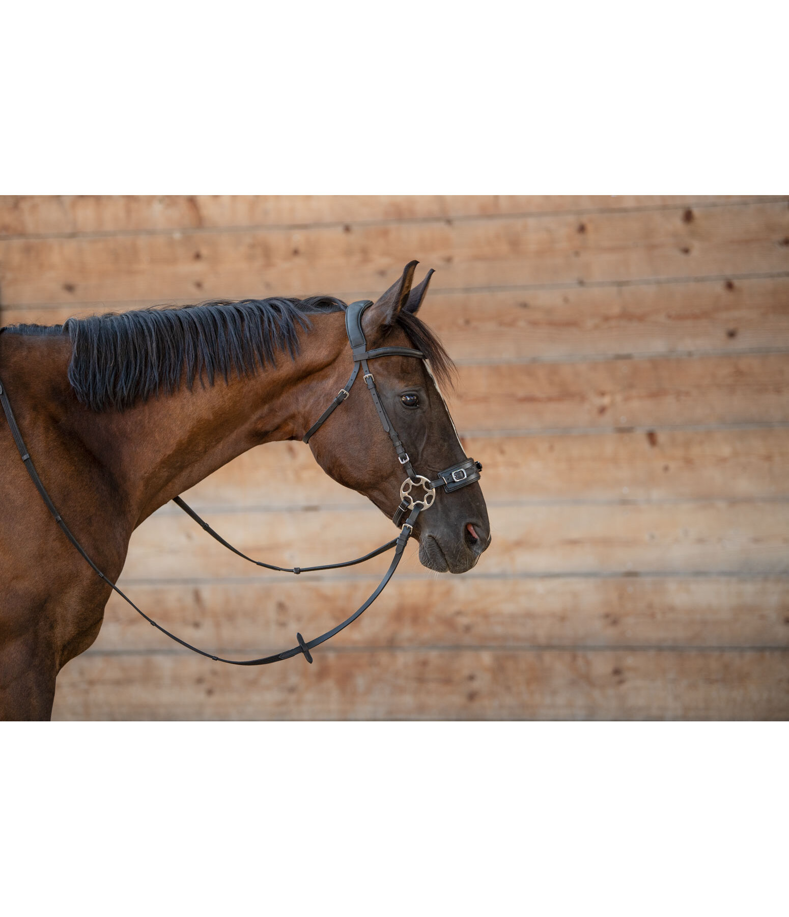 Mix & Match Oiled Leather Headpiece Bitless