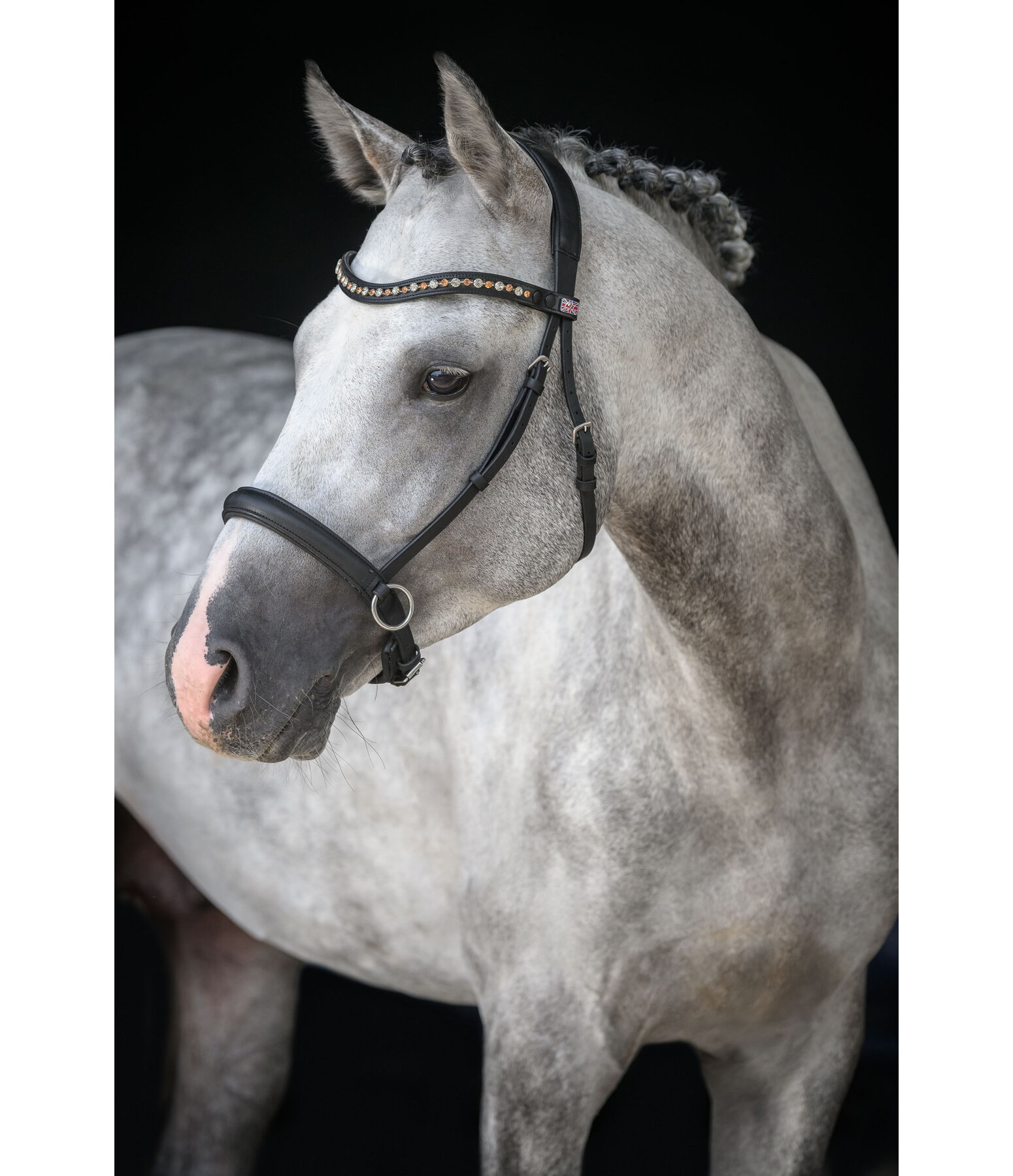 Mix & Match Oiled Leather Noseband Bitless