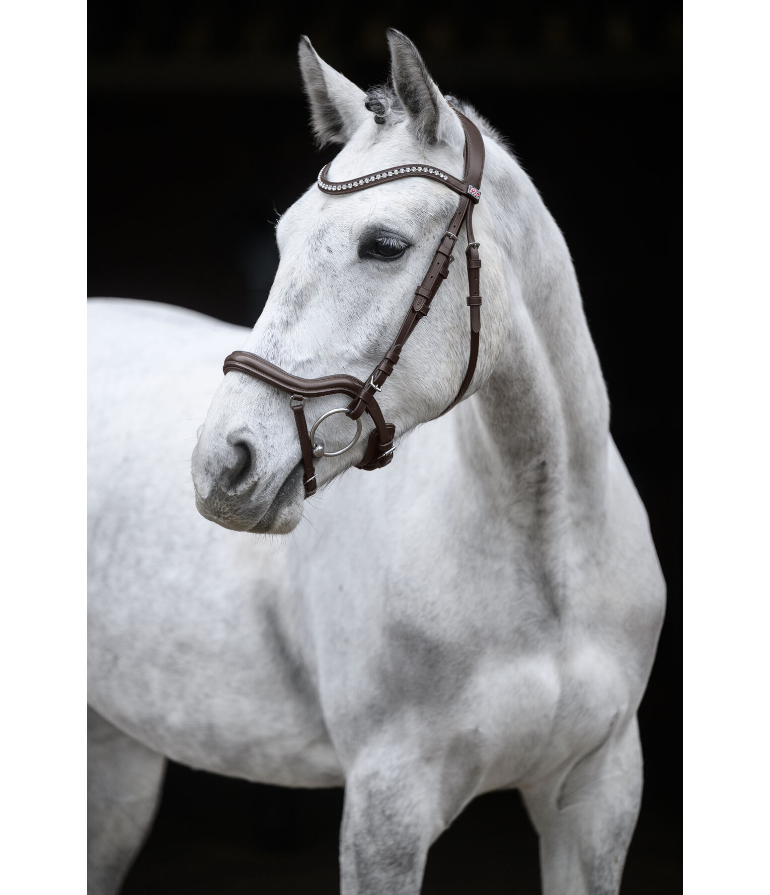 Bridle Melbourne