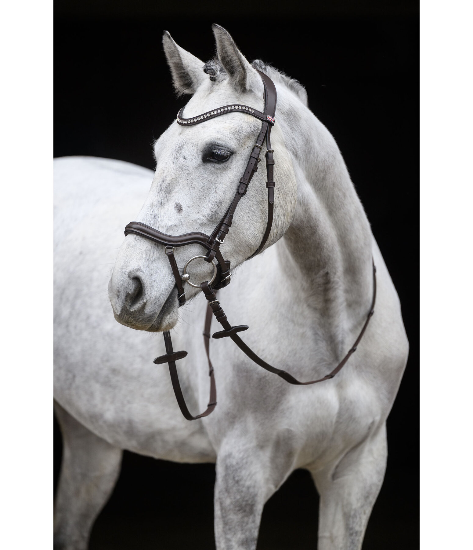Bridle Melbourne