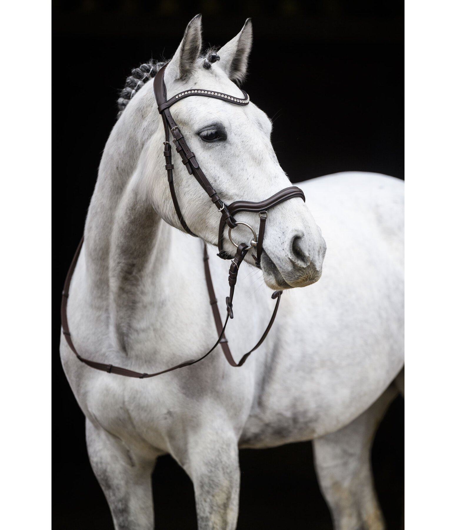 Bridle Melbourne