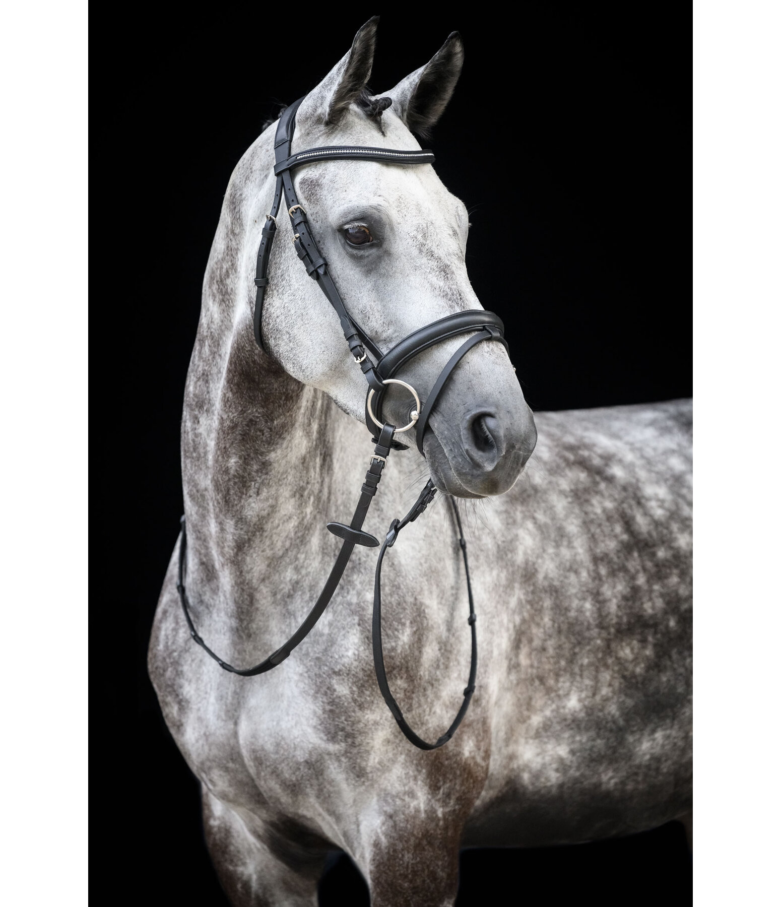 Flash Bridle Soft Comfort Crystal