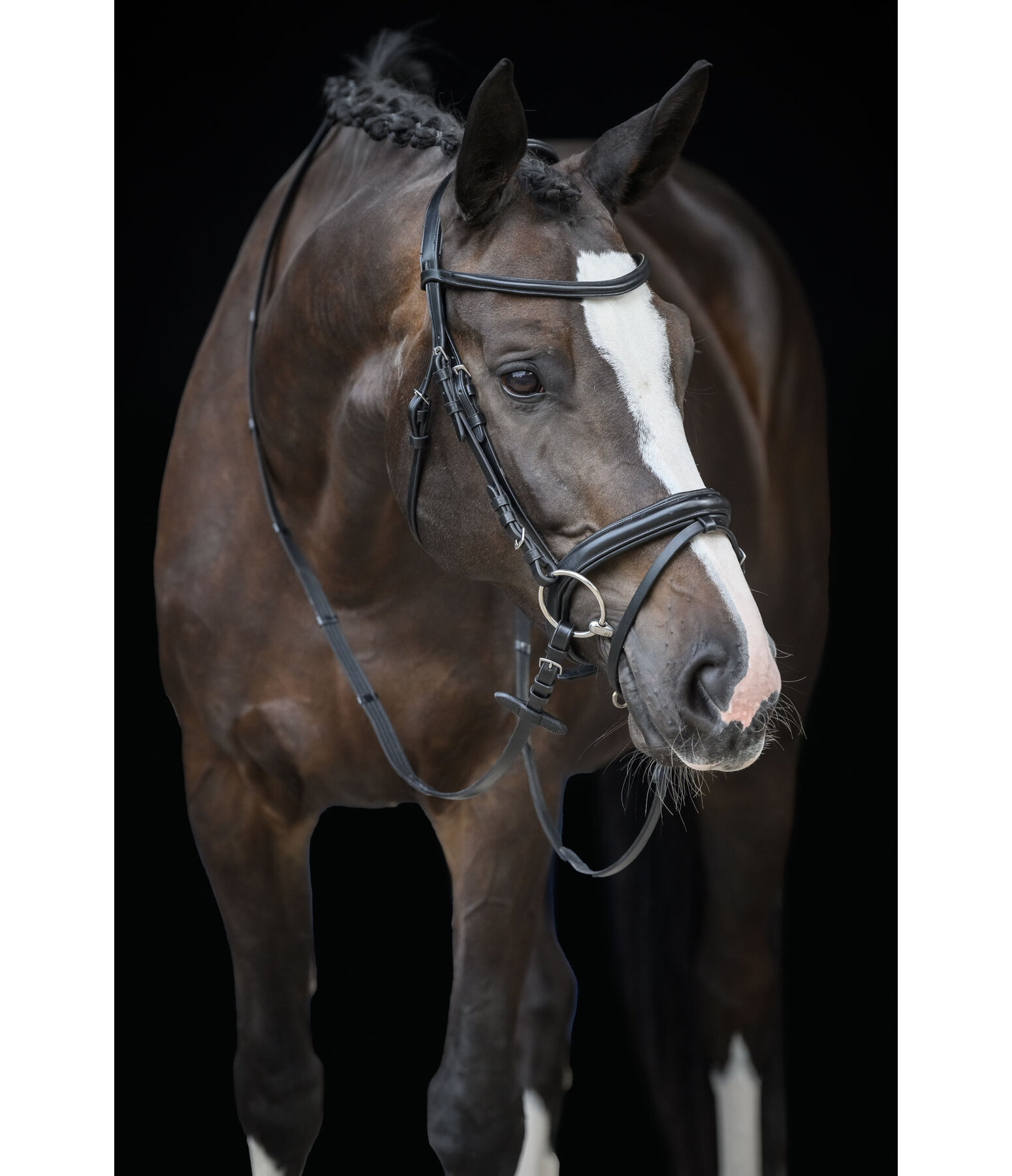 Flash Bridle Melodie