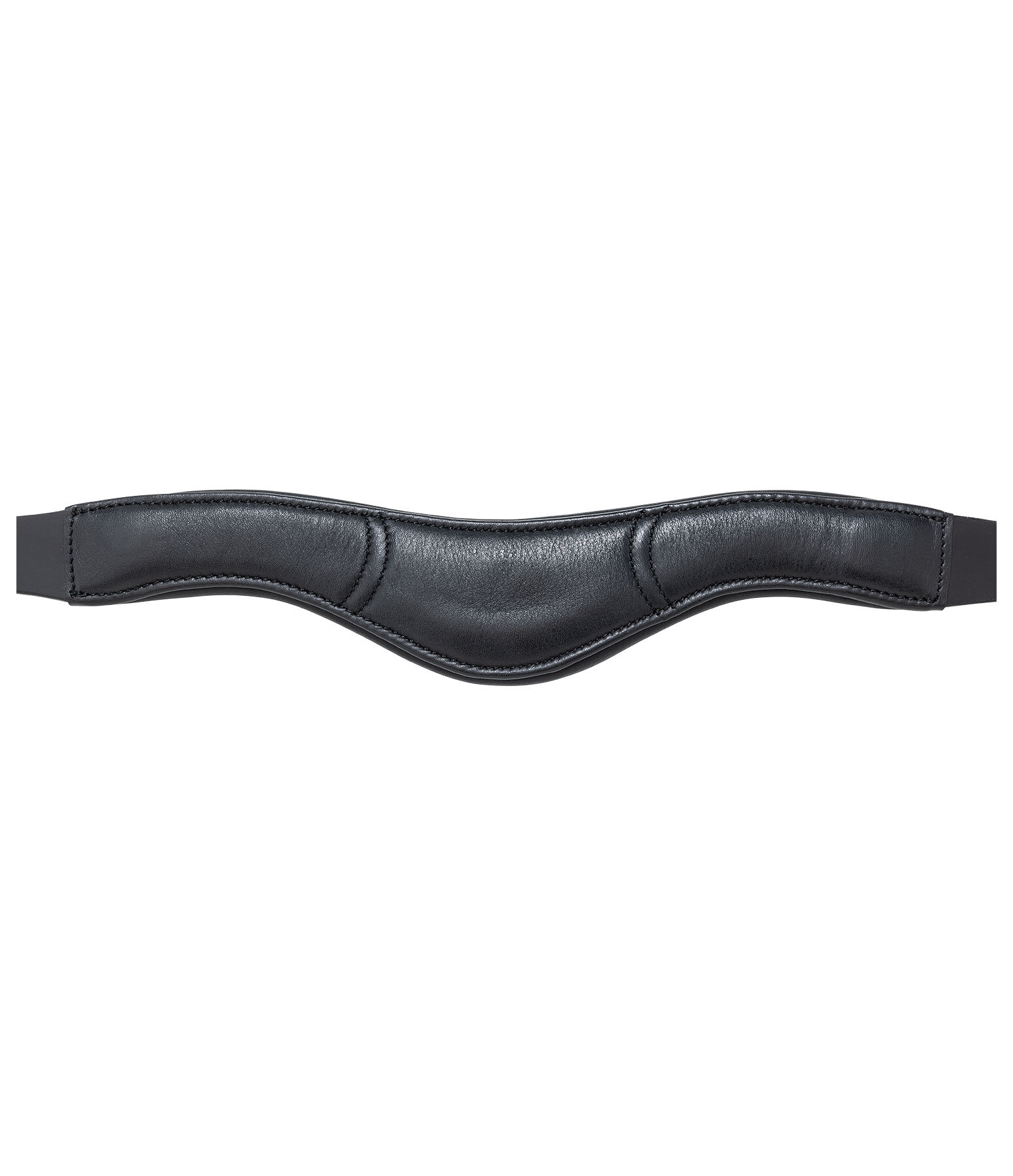 Flash Bridle Midnight