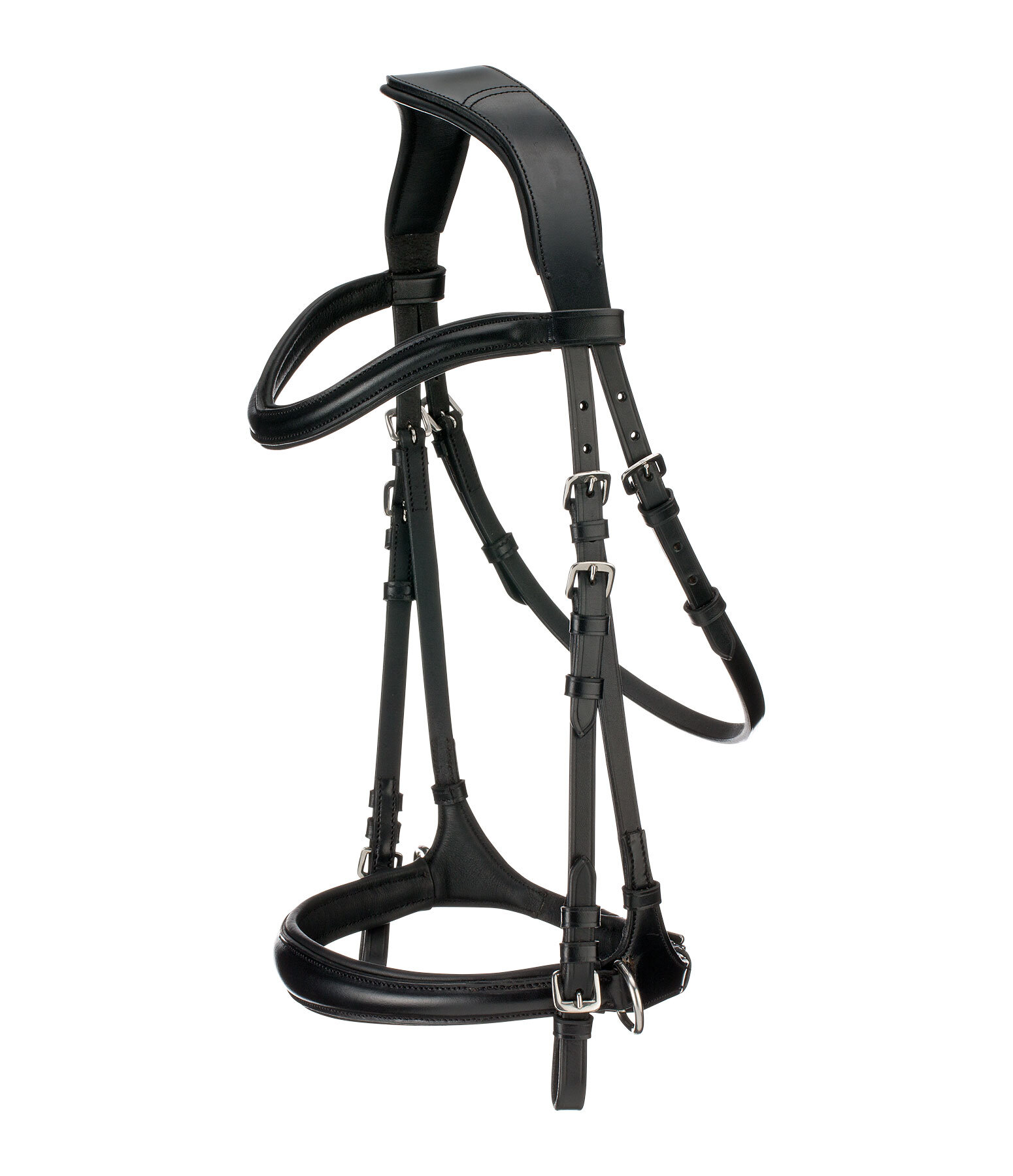 Bitless Bridle 5-in-1