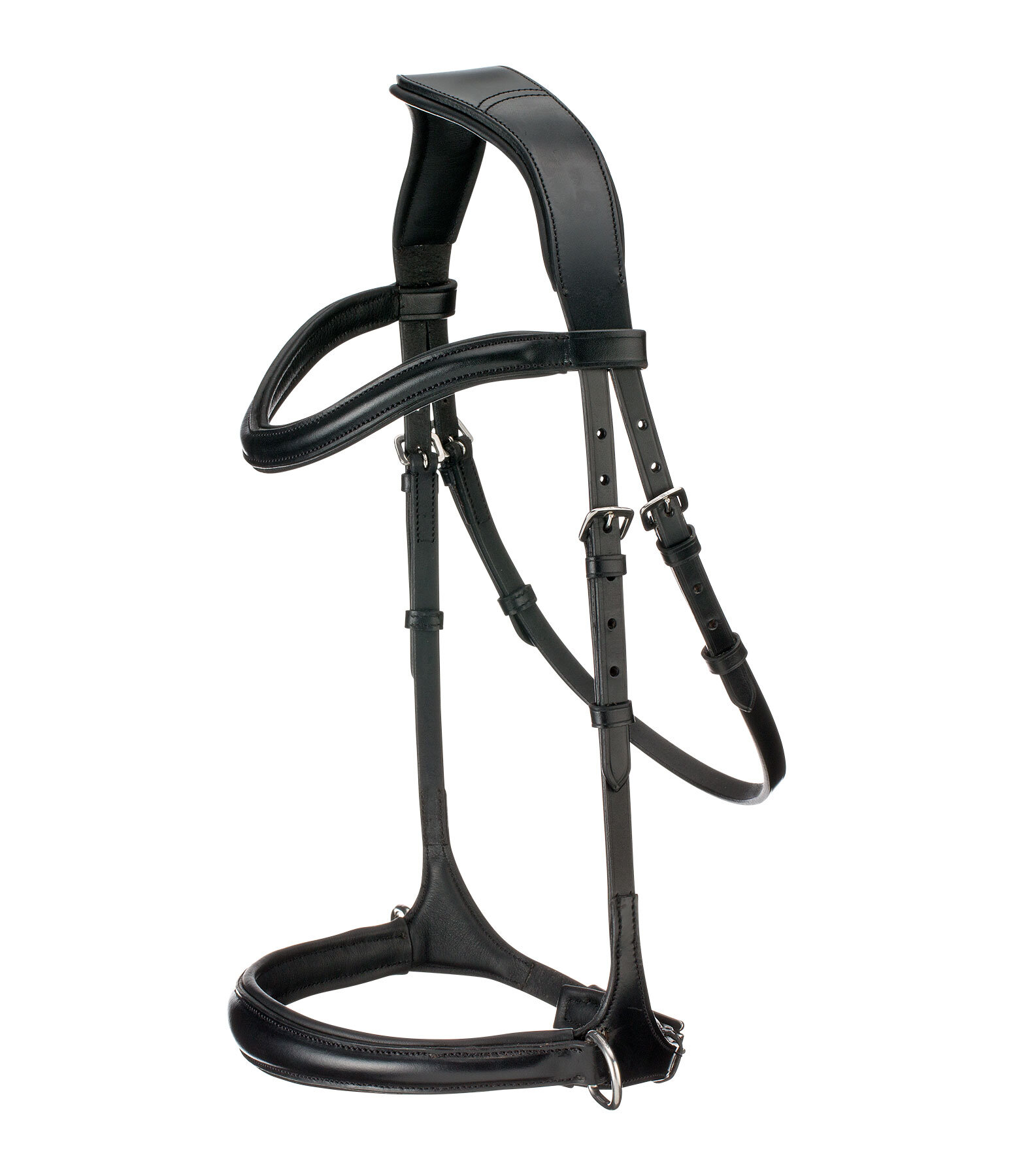 Bitless Bridle 5-in-1