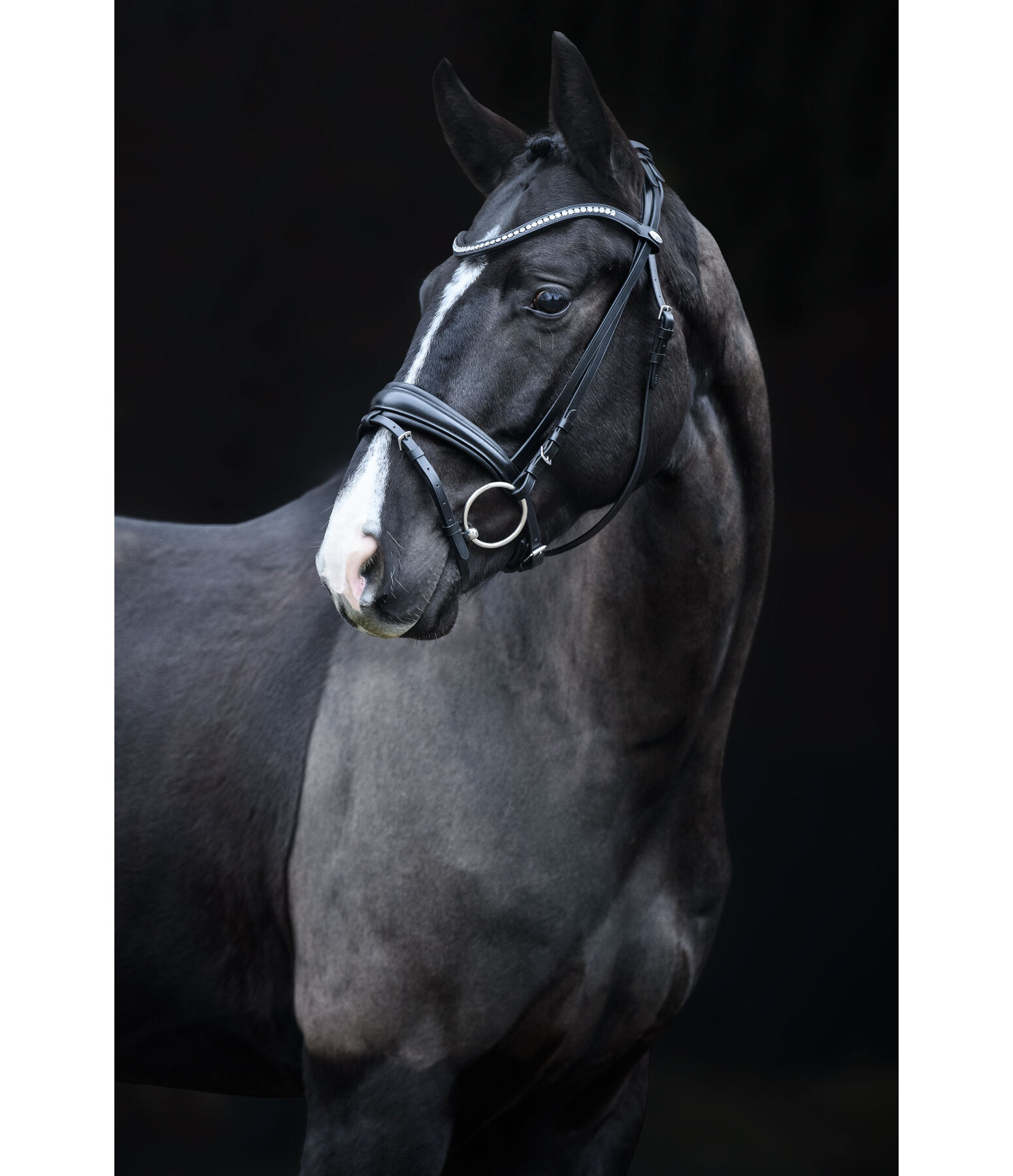 Flash Bridle Lucie